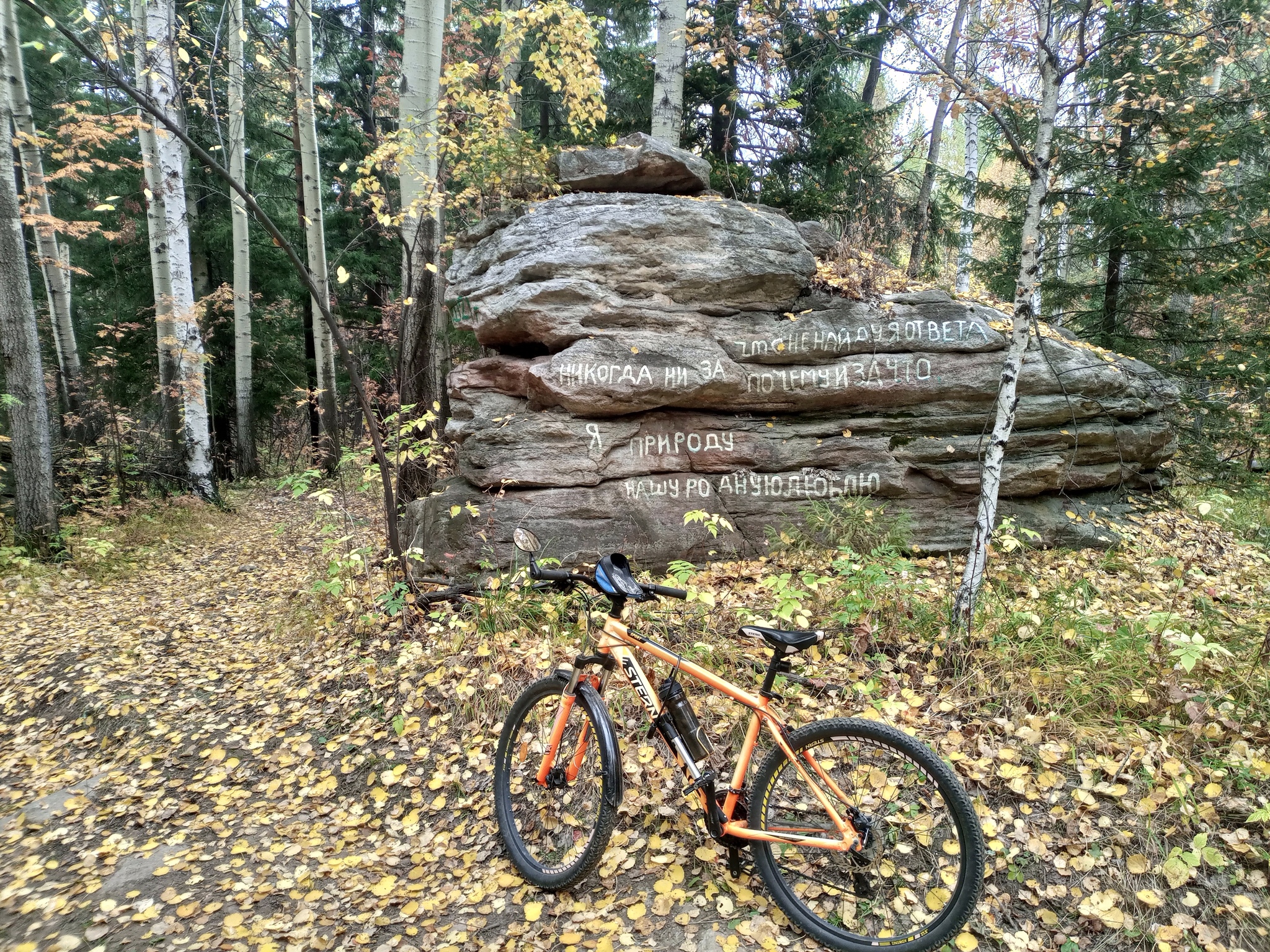 gold autumn - My, A bike, Autumn, Mobile photography, Forest, Longpost, Chelyabinsk region