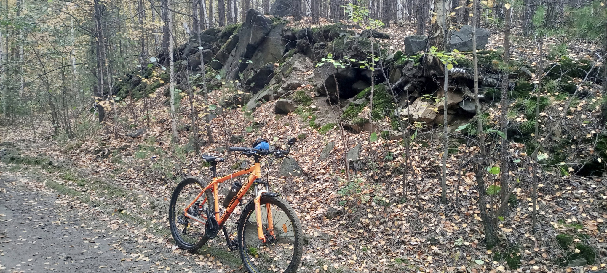 gold autumn - My, A bike, Autumn, Mobile photography, Forest, Longpost, Chelyabinsk region