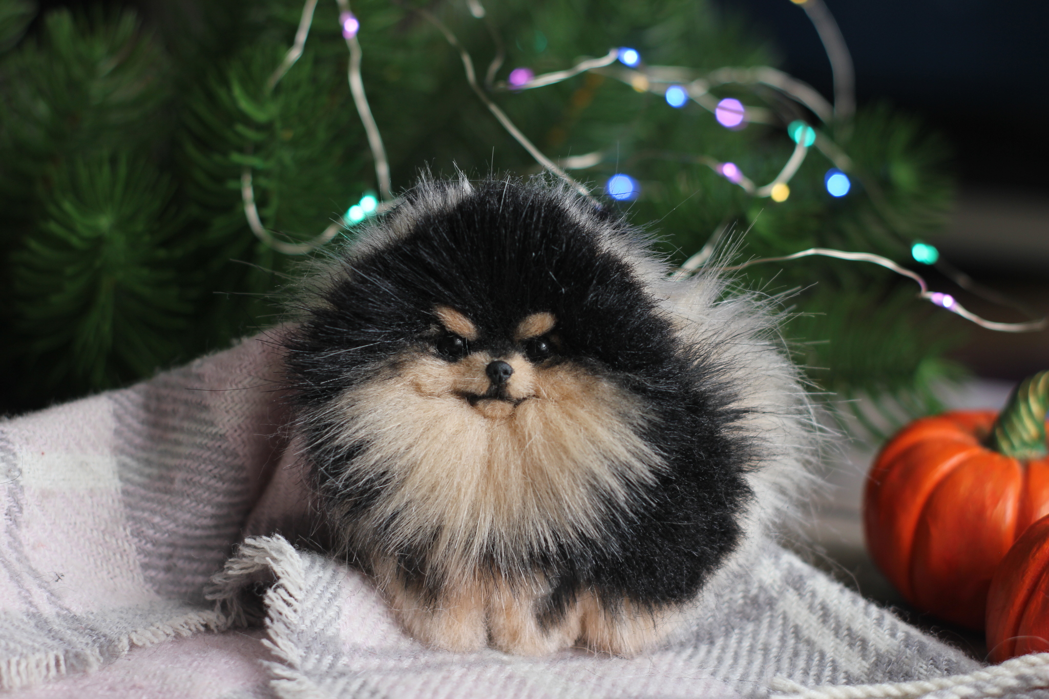 Brooches on the photo of pets - My, Needlework without process, Handmade, Brooch, Dog, Spitz, Yorkshire Terrier, Pekingese, Maine Coon, Nature, Longpost