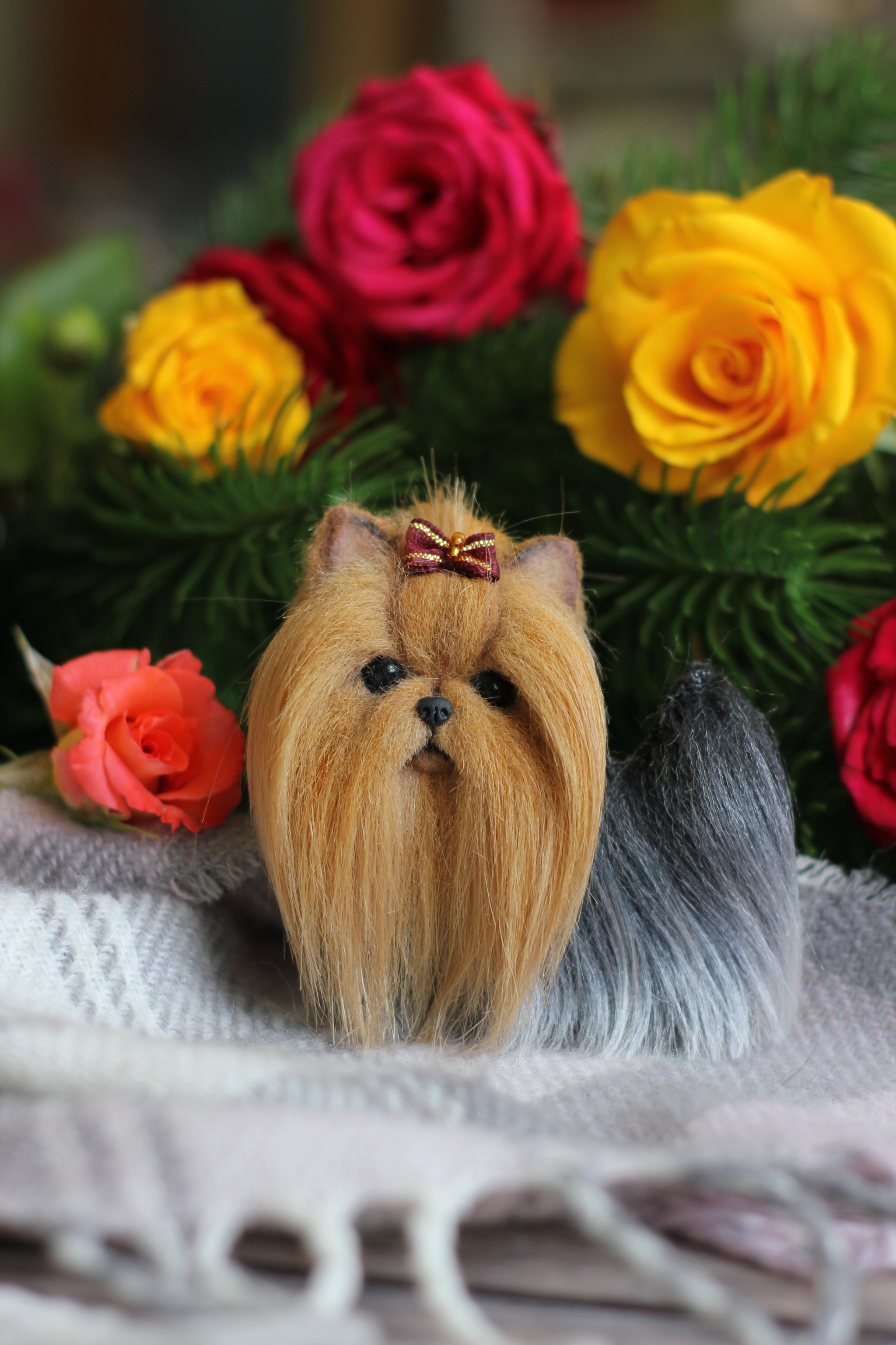 Brooches on the photo of pets - My, Needlework without process, Handmade, Brooch, Dog, Spitz, Yorkshire Terrier, Pekingese, Maine Coon, Nature, Longpost