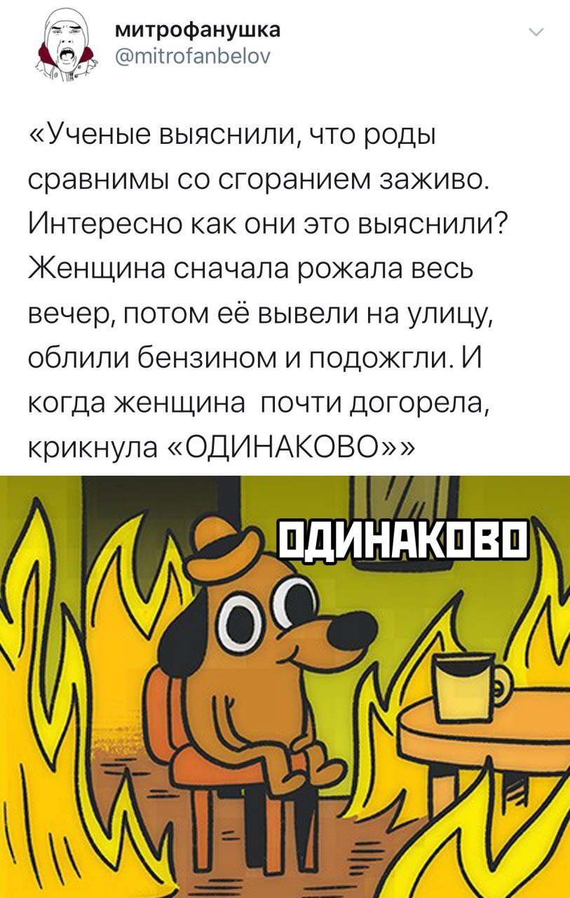 А через сколько ей пришлось пройти, пока не нашли самое схожее ощущение - Юмор, Картинка с текстом, Telegram, Twitter, Роды, Пожар, Бензин, Боль, Поджог, This is Fine, Скриншот