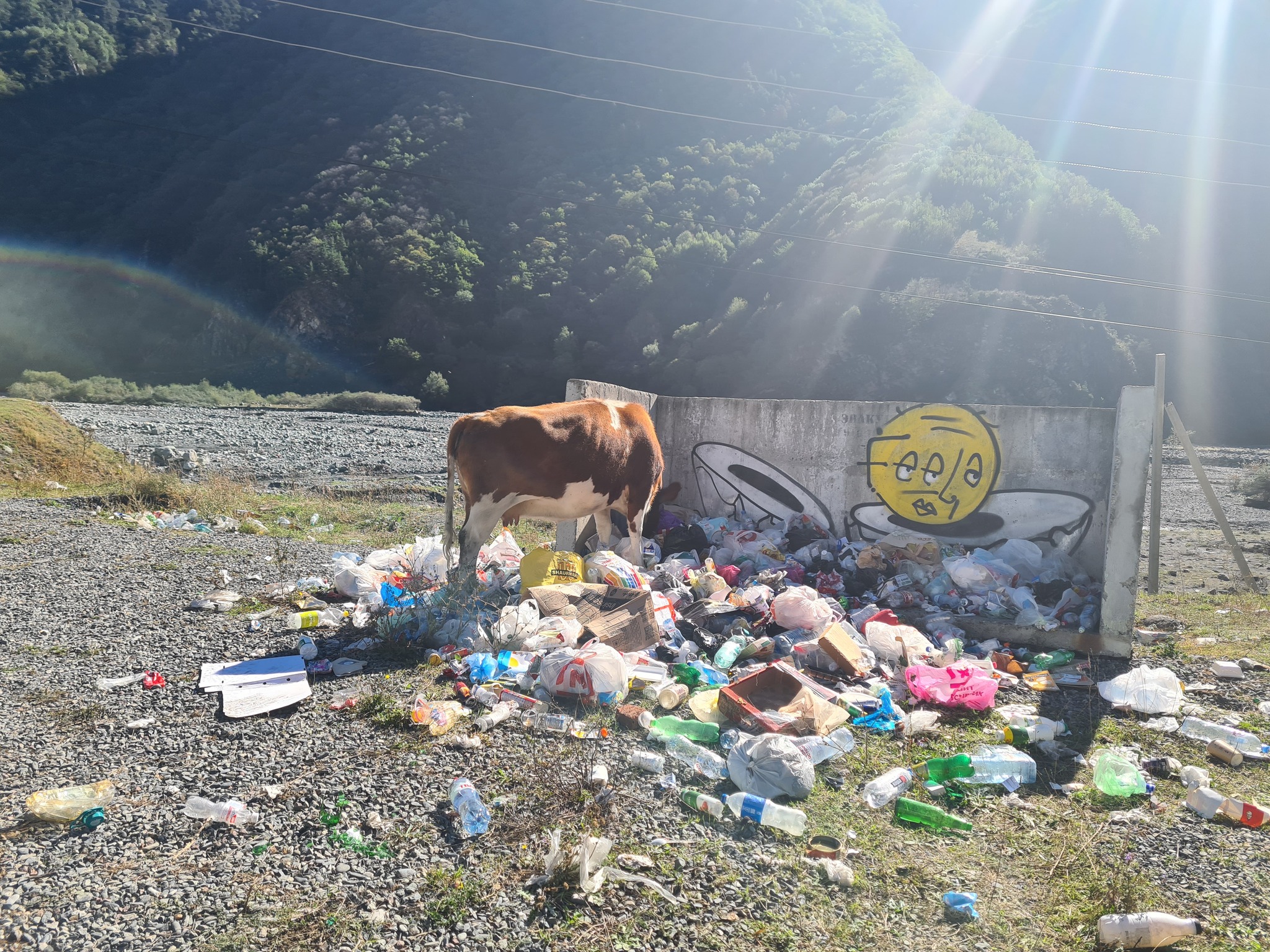 The situation on the border with Georgia on 26.09 - My, Vladikavkaz, Georgia, The border, Longpost, Drive