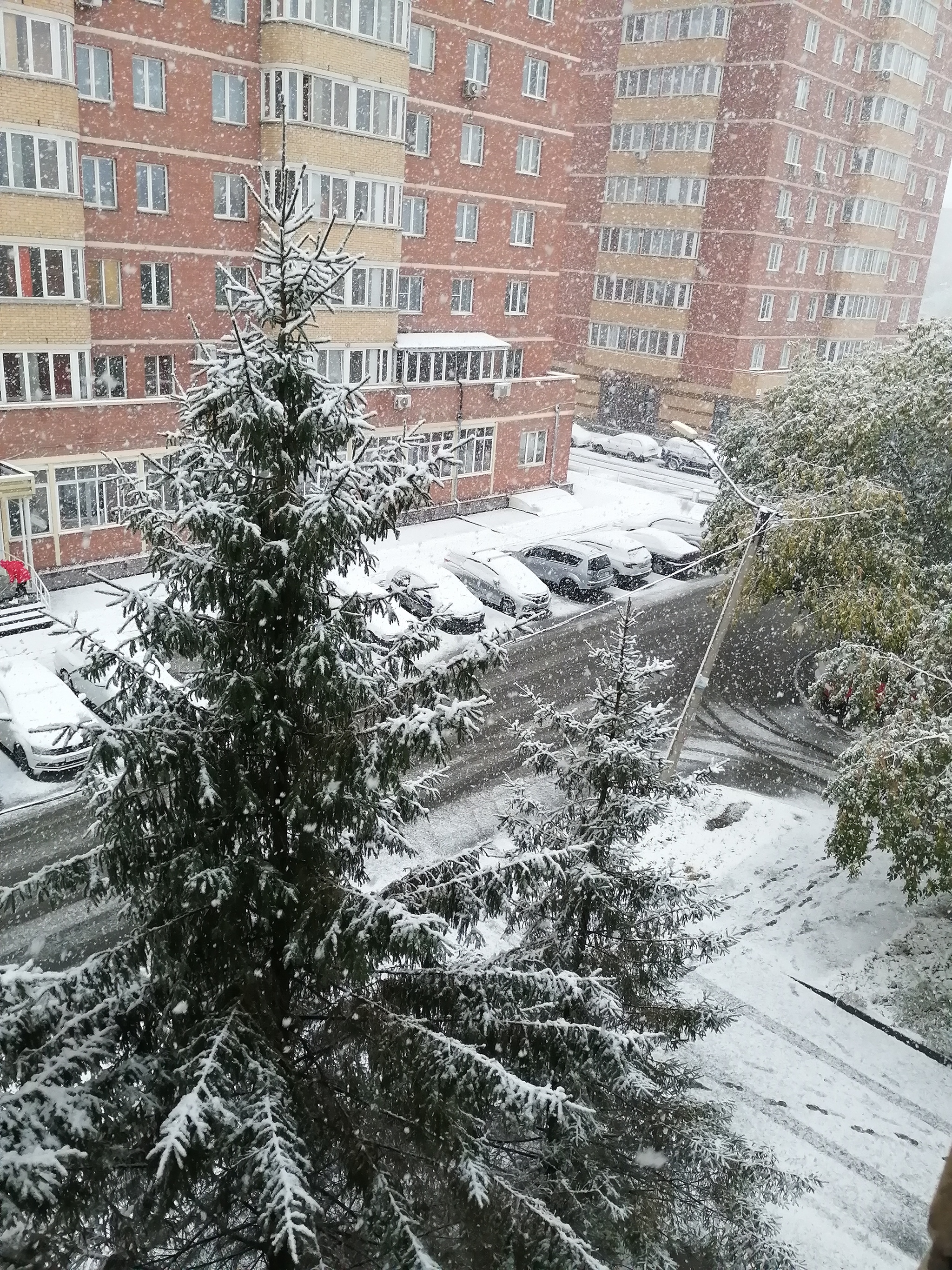 Sudden snow chump - My, Snow, Suddenly, Novosibirsk