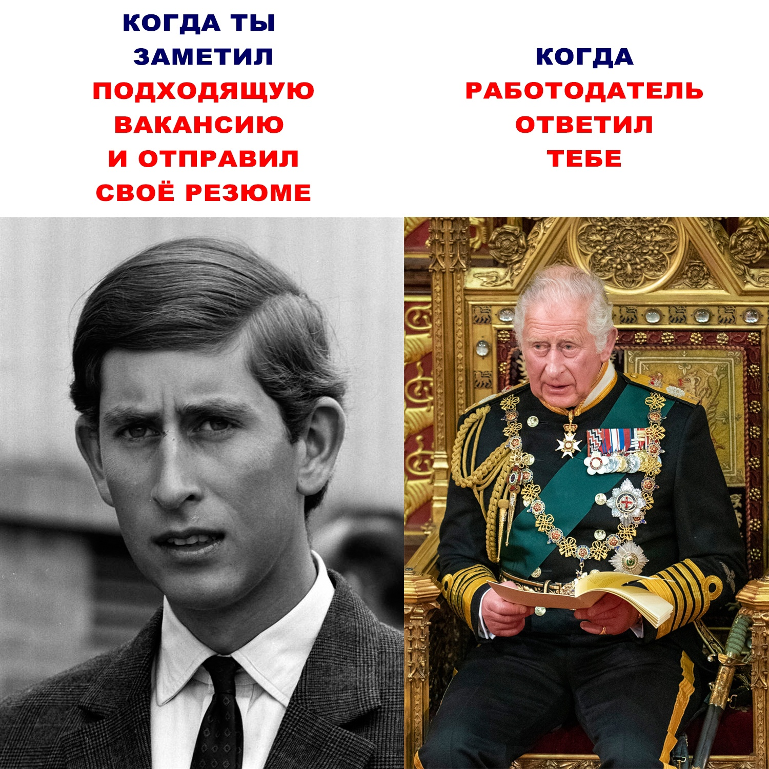 Когда ответил работодатель - Картинка с текстом, Мемы, Юмор, Король Карл III (Принц Чарльз)