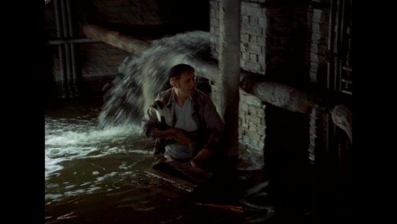 Про трубы | Пикабу