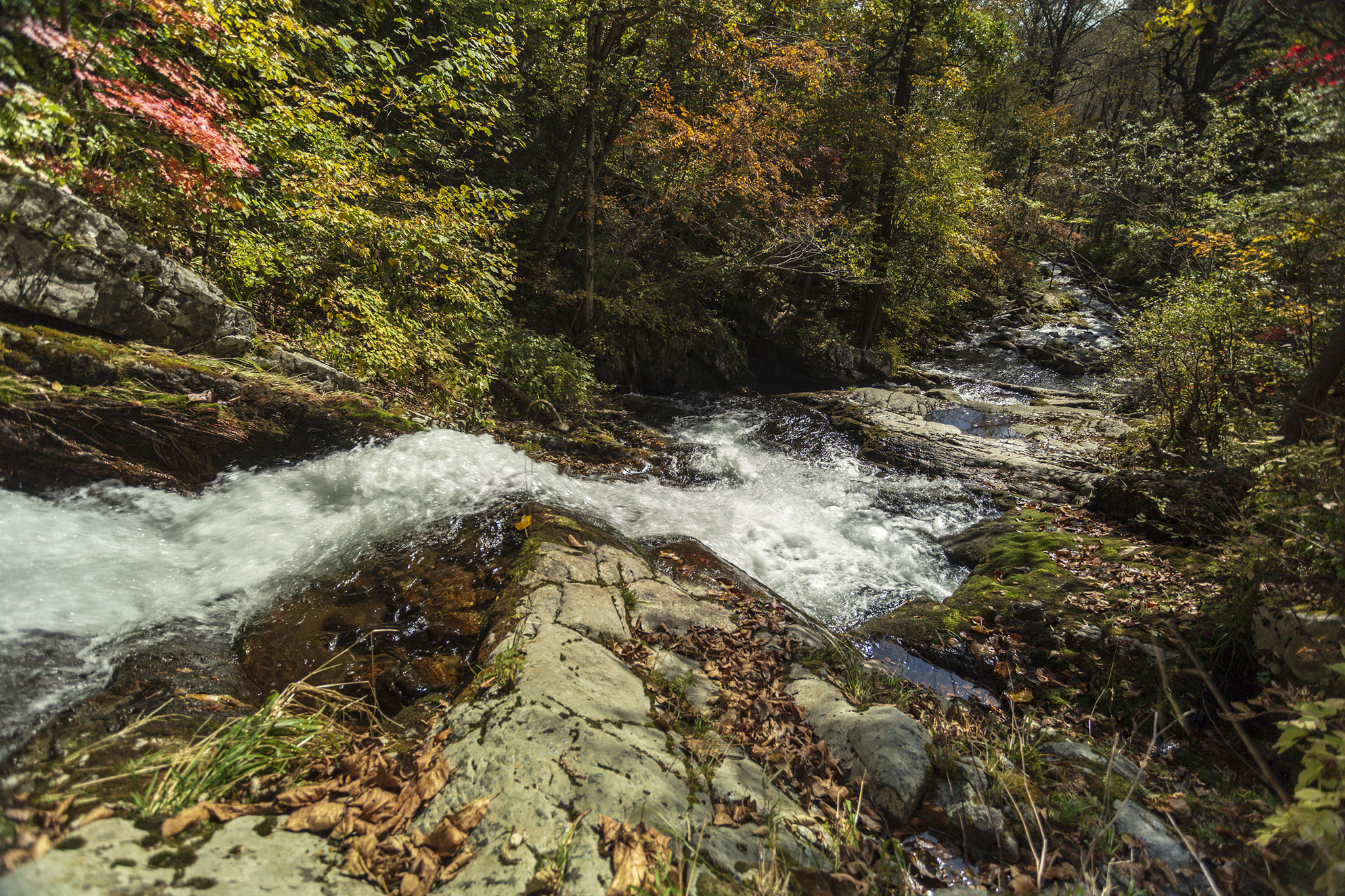 Voroshilov waterfalls. - My, Primorsky Krai, Дальний Восток, The photo, River, Waterfall, Autumn, Longpost