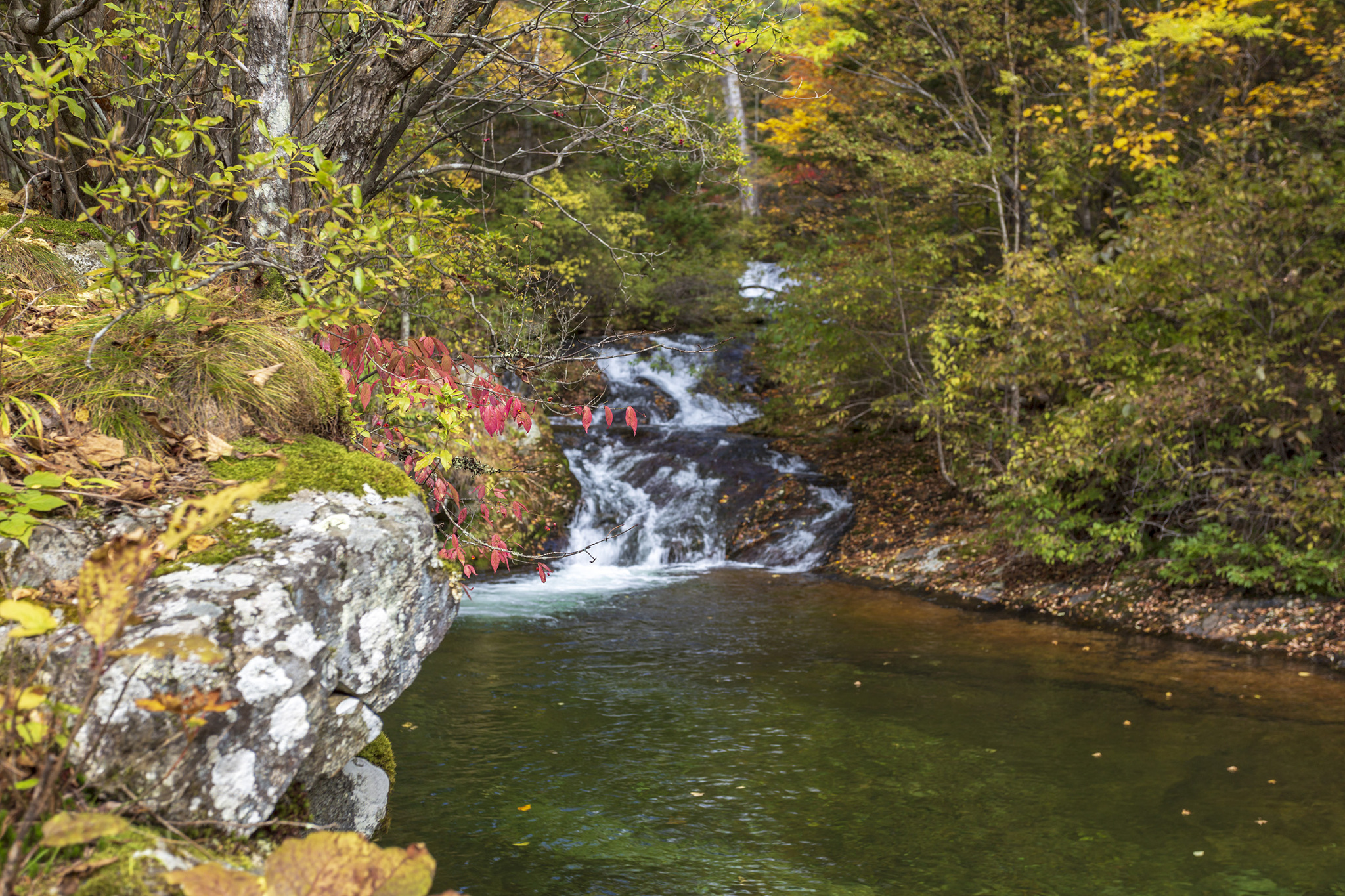 Voroshilov waterfalls. - My, Primorsky Krai, Дальний Восток, The photo, River, Waterfall, Autumn, Longpost