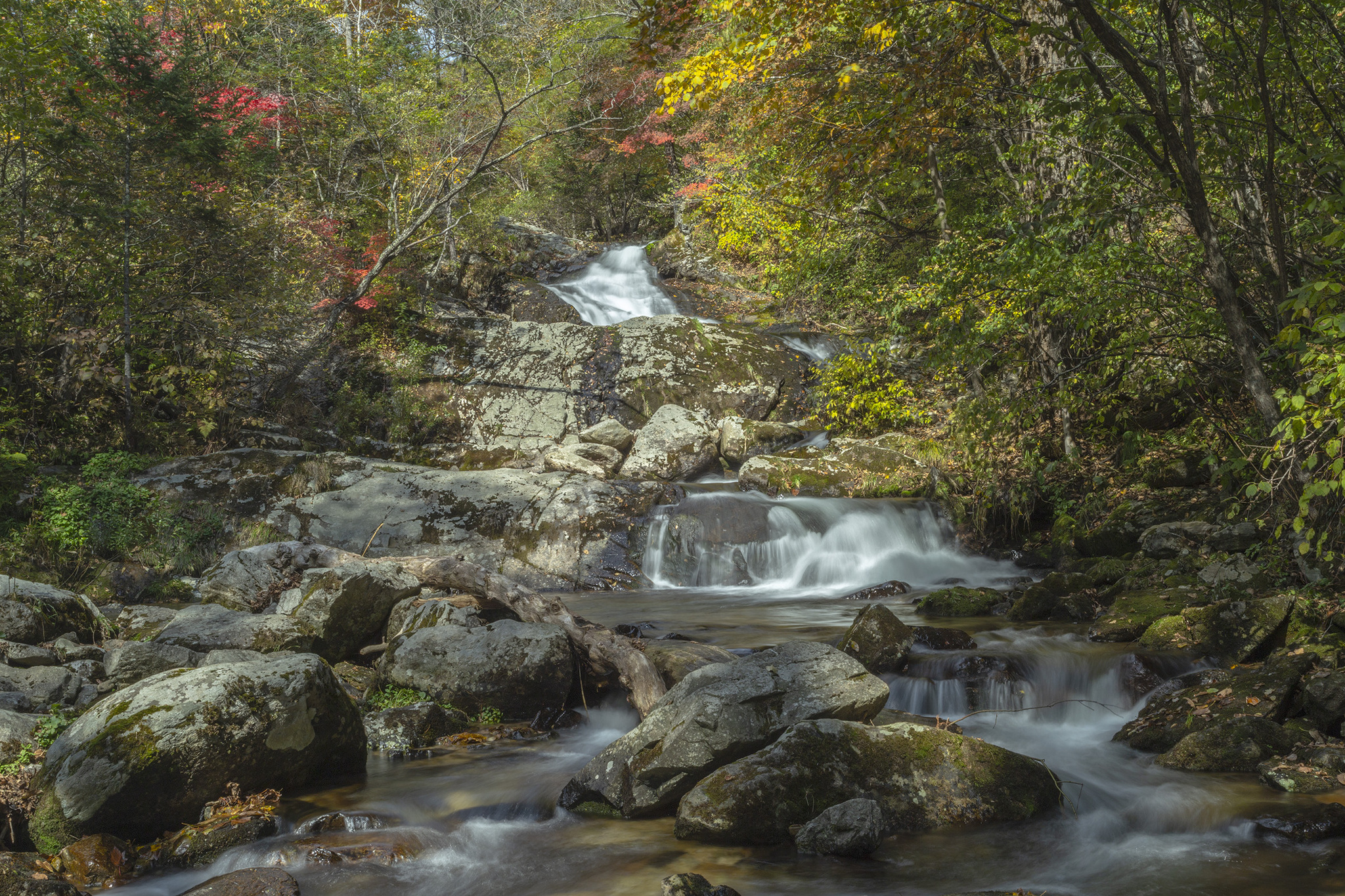 Voroshilov waterfalls. - My, Primorsky Krai, Дальний Восток, The photo, River, Waterfall, Autumn, Longpost