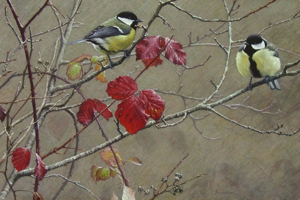 Lionel Asselineau - Drawing, Birds, Animalistics, Pastel, Art, Art