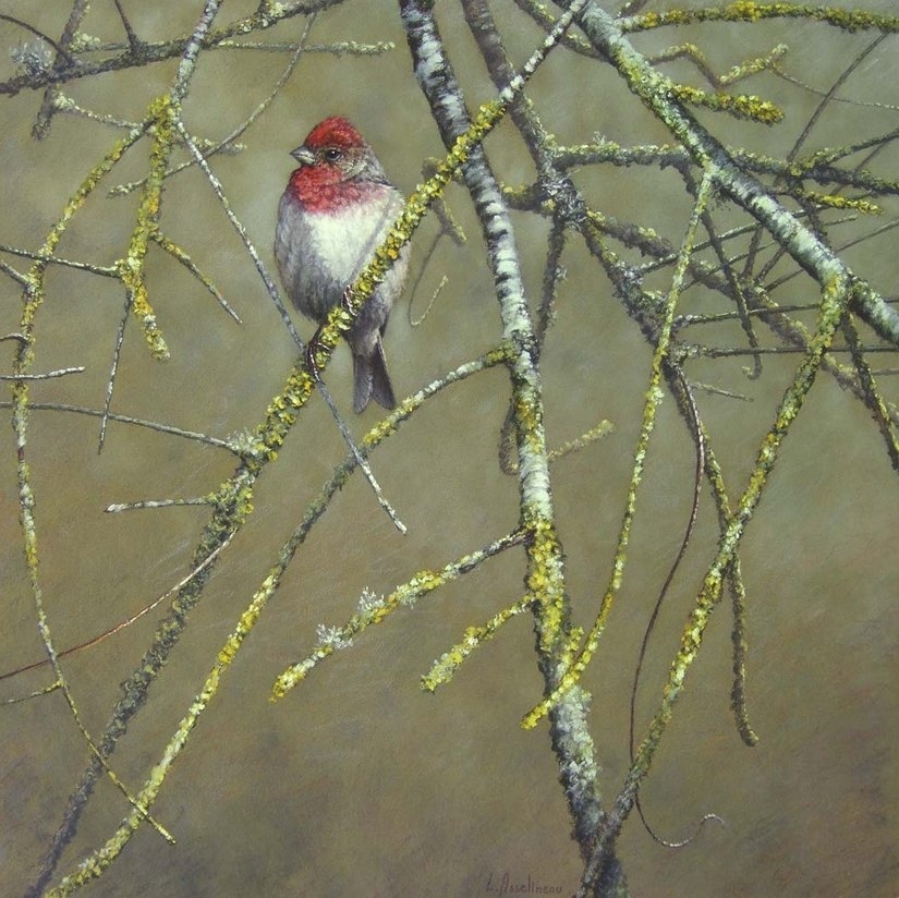 Lionel Asselineau - Drawing, Birds, Animalistics, Pastel, Art, Art