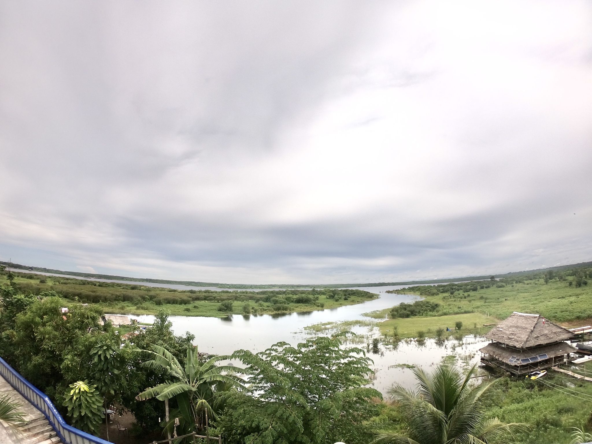 Jungle of the Amazon. Peru - My, Travels, Peru, Longpost