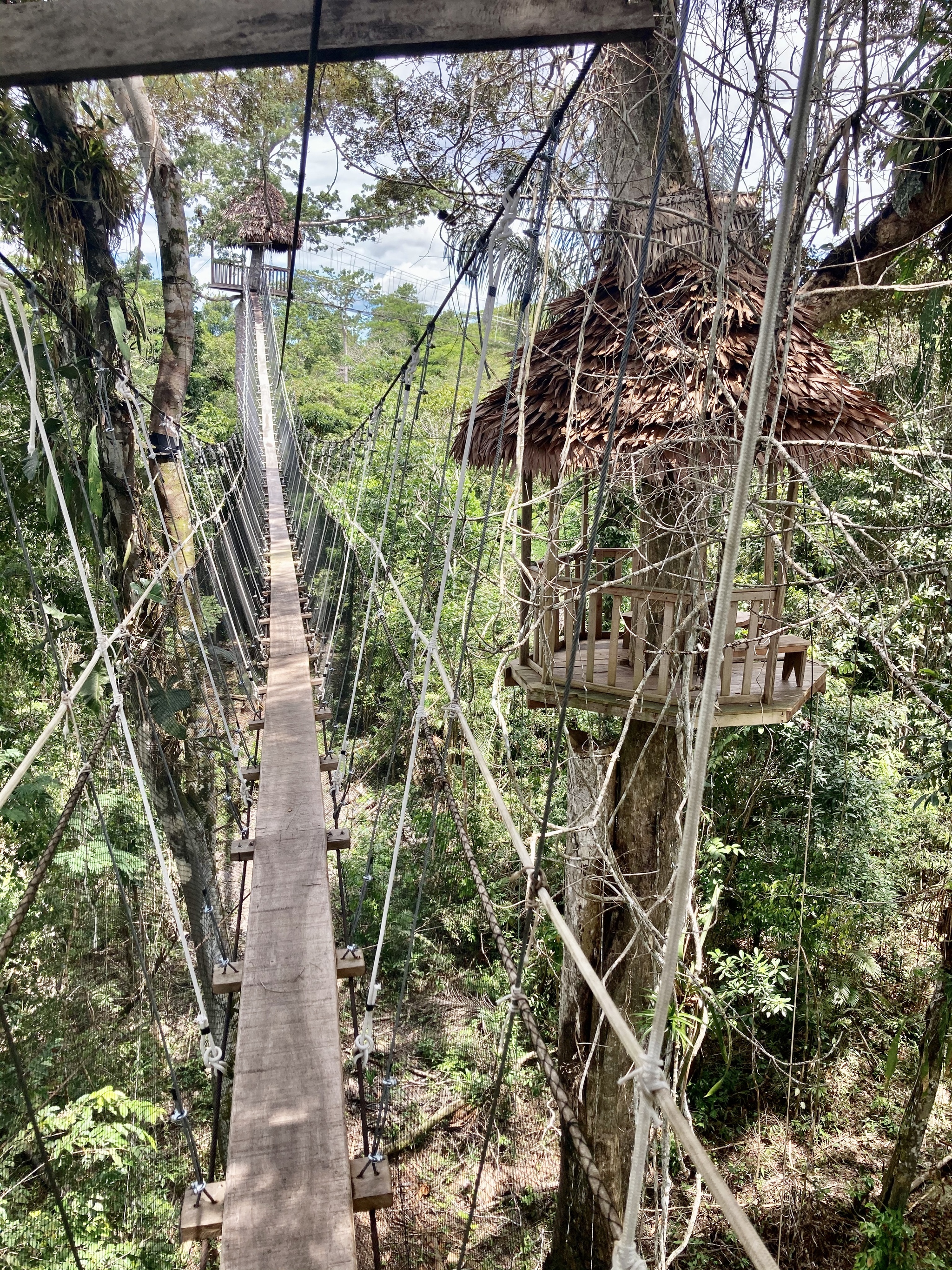 Jungle of the Amazon. Peru - My, Travels, Peru, Longpost