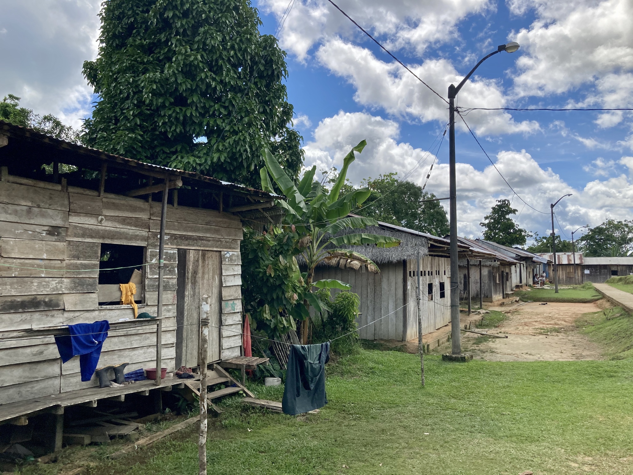 Jungle of the Amazon. Peru - My, Travels, Peru, Longpost