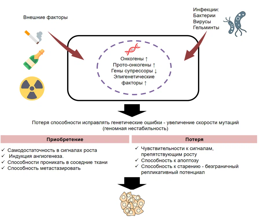 Terrible oncology - My, Cancer and oncology, Risk, Treatment, Longpost