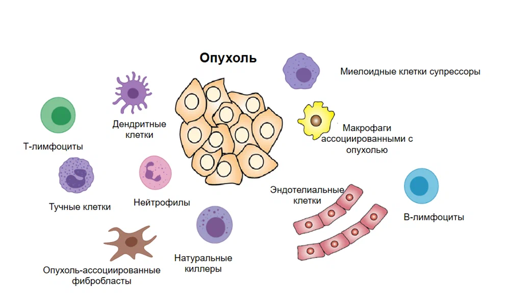 Terrible oncology - My, Cancer and oncology, Risk, Treatment, Longpost