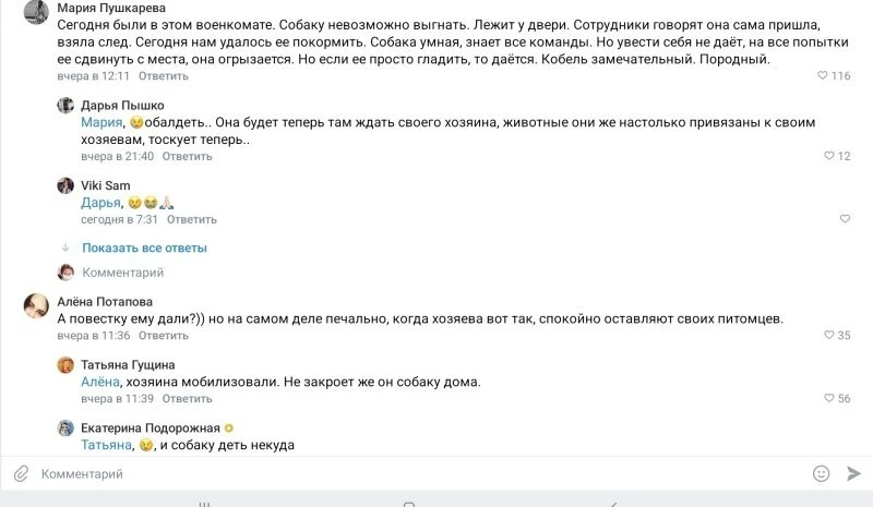 В военкомате Подольска пёс потерял хозяина, ушедшего по мобилизации - Собака, Немецкая овчарка, Военкомат, Мобилизация, Московская область, Хатико, Видео, Вертикальное видео, Длиннопост