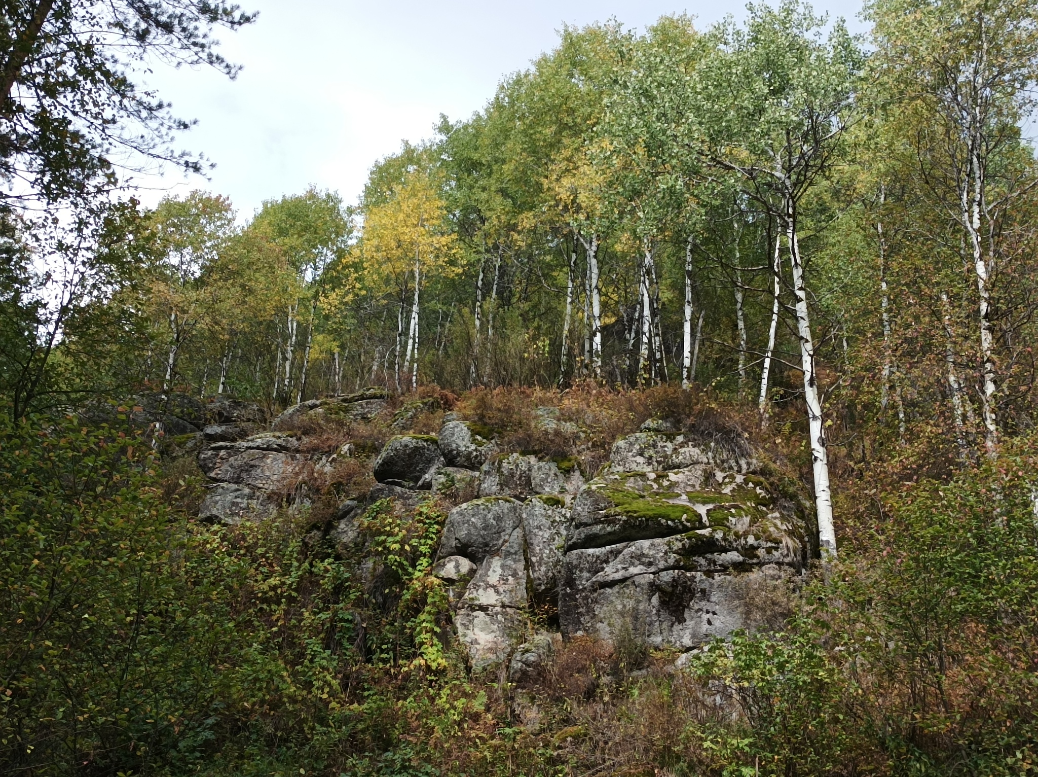 Altai Belokurikha (photo) - My, Travels, Siberia, Longpost