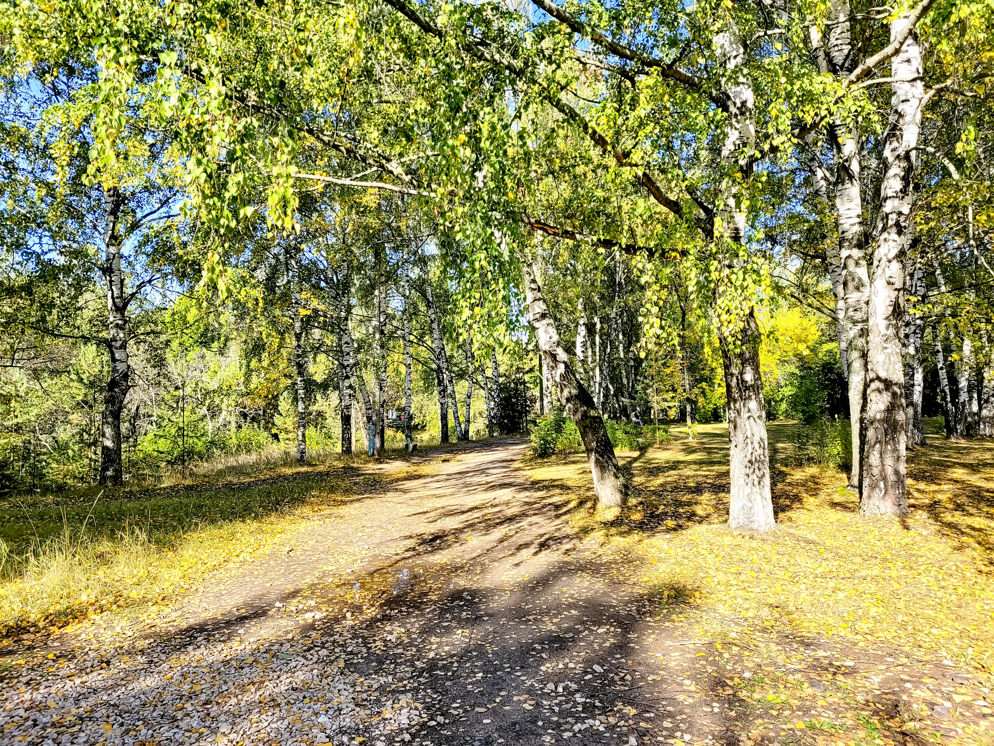 Autumn Sormovsky Park - My, Nizhny Novgorod, Sormovsky Park, Walk, Forest, Longpost