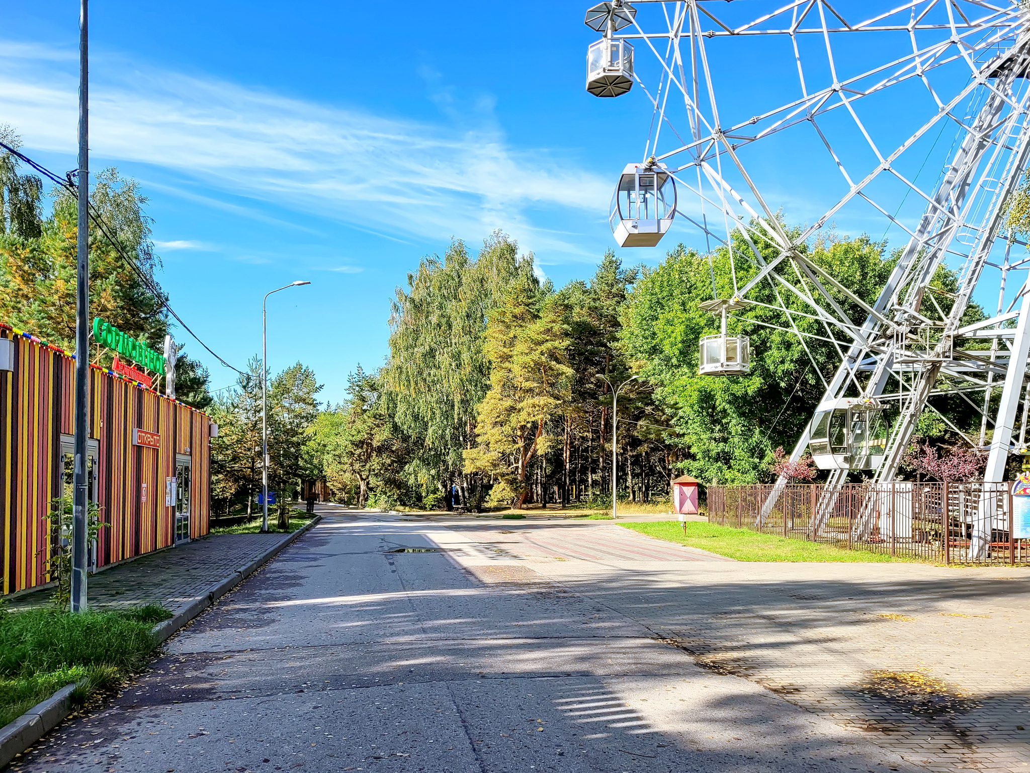 Осенний Сормовский парк - Моё, Нижний Новгород, Сормовский парк, Прогулка, Лес, Длиннопост