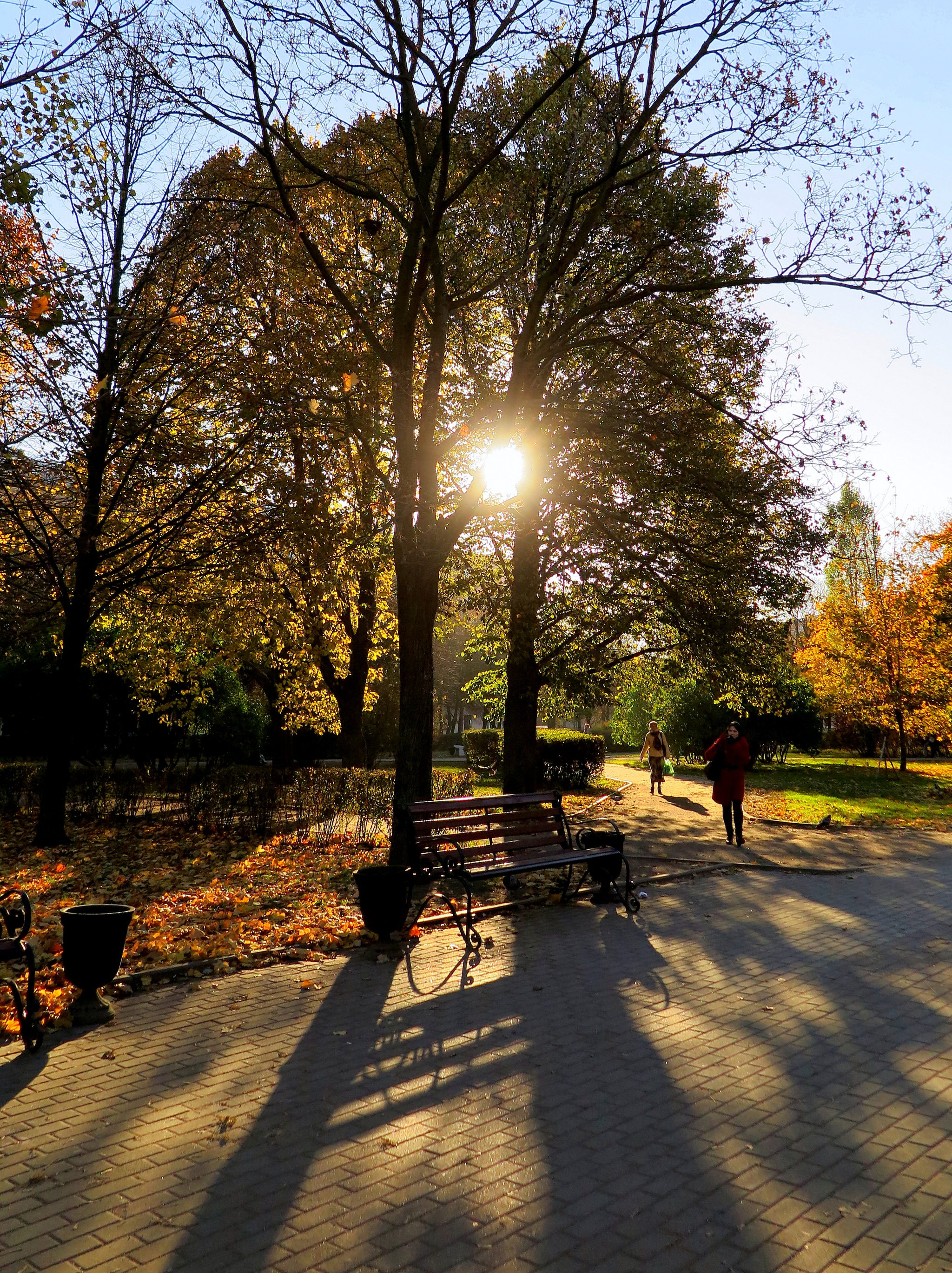 Autumn, random... - My, Autumn, Town, Autumn leaves, The sun, shadow game