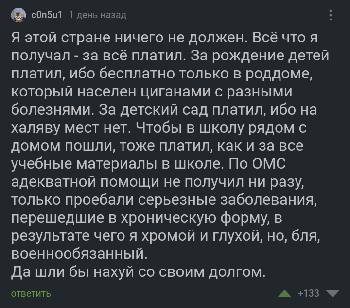 Долг стране - Мобилизация, Сво, Комментарии на Пикабу, Скриншот, Мат, Спецоперация