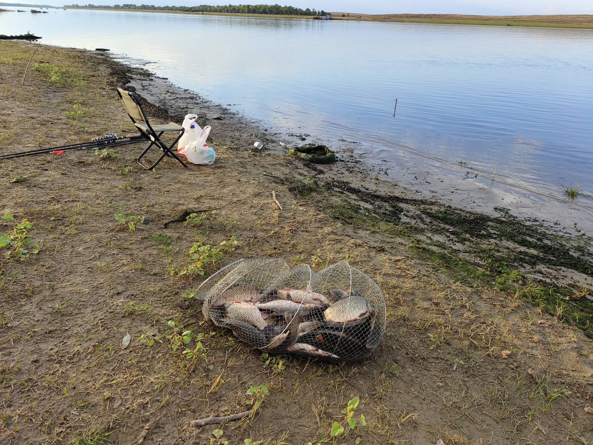 Caught fish in Selitrennoe - My, Mobile photography, Nature, Beginning photographer, Sunrise, Fishing, Travels, Travel across Russia, Longpost, A fish, Fish perch, Bream, Perch