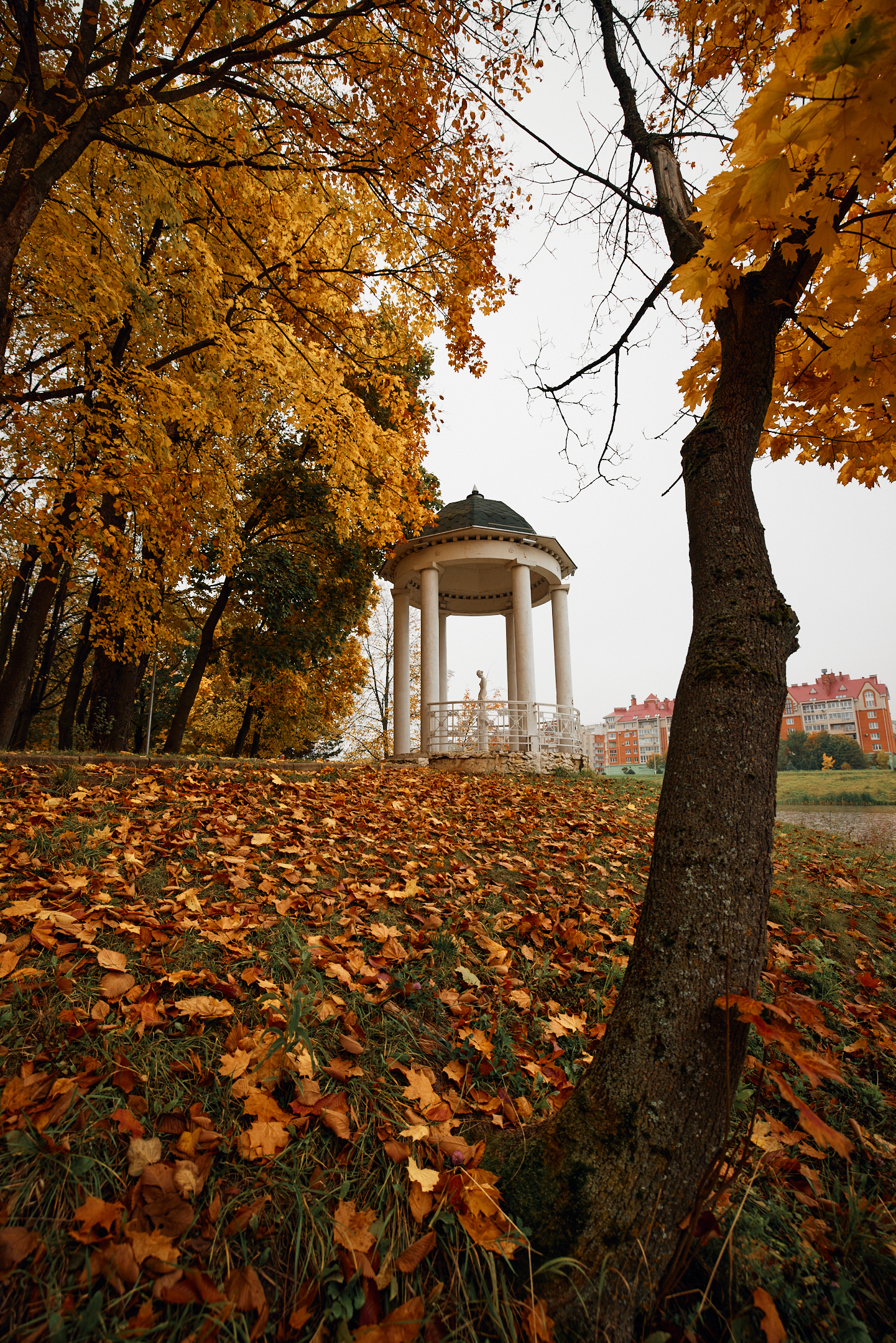 Autumn walk in the park - My, The photo, Autumn, The park, Obninsk, Longpost