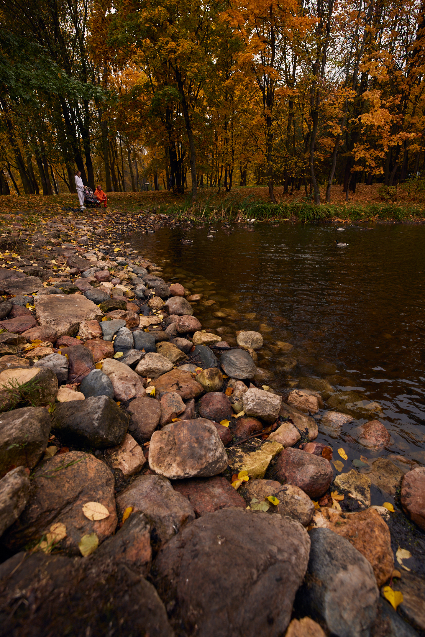 Autumn walk in the park - My, The photo, Autumn, The park, Obninsk, Longpost