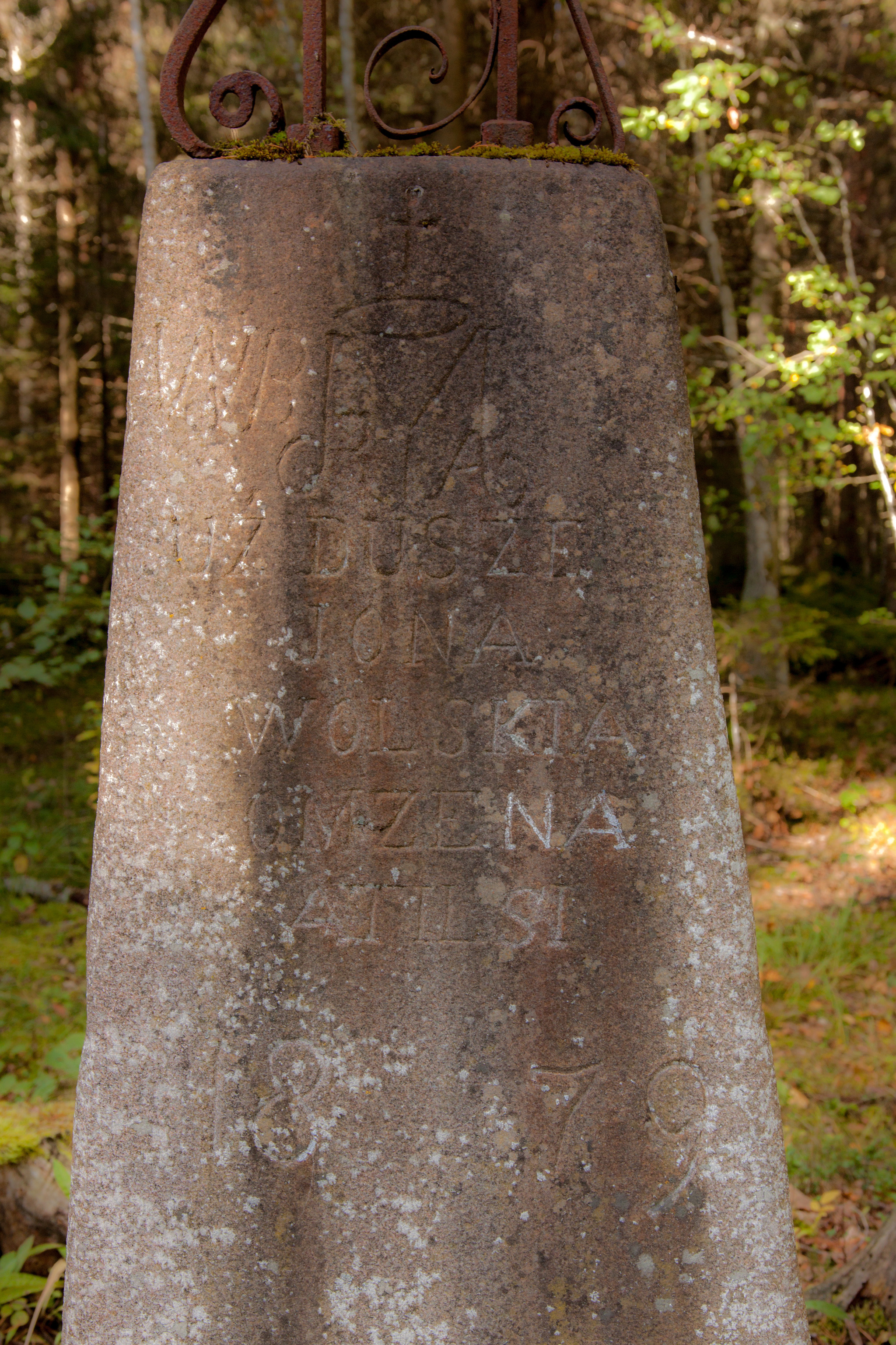 Autumn forest, Metal detector, Evening gatherings - My, Camping, Metal detector, Instrument search, Longpost