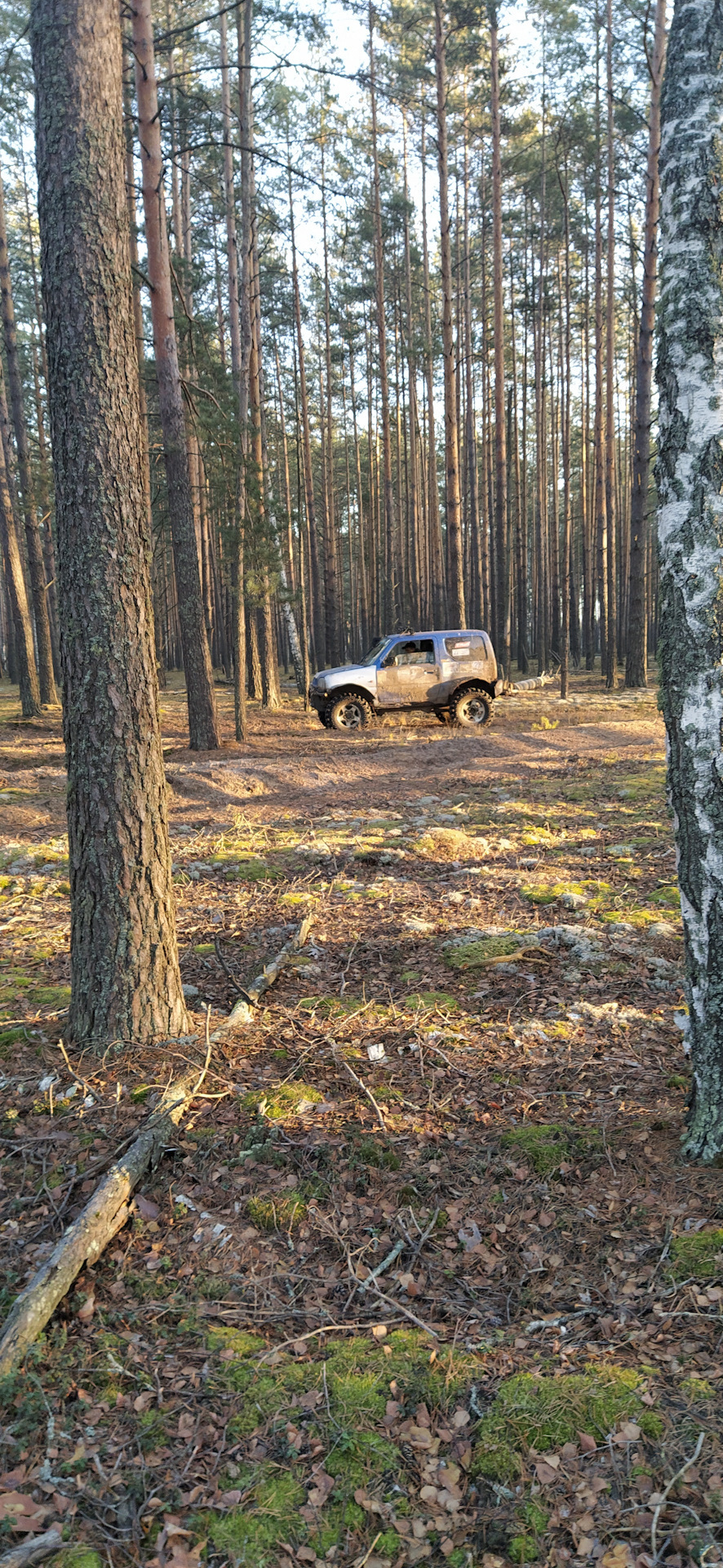 Осенняя прогулка - Моё, Suzuki jimny, Suzuki, Внедорожник, Лес, Осень, Длиннопост