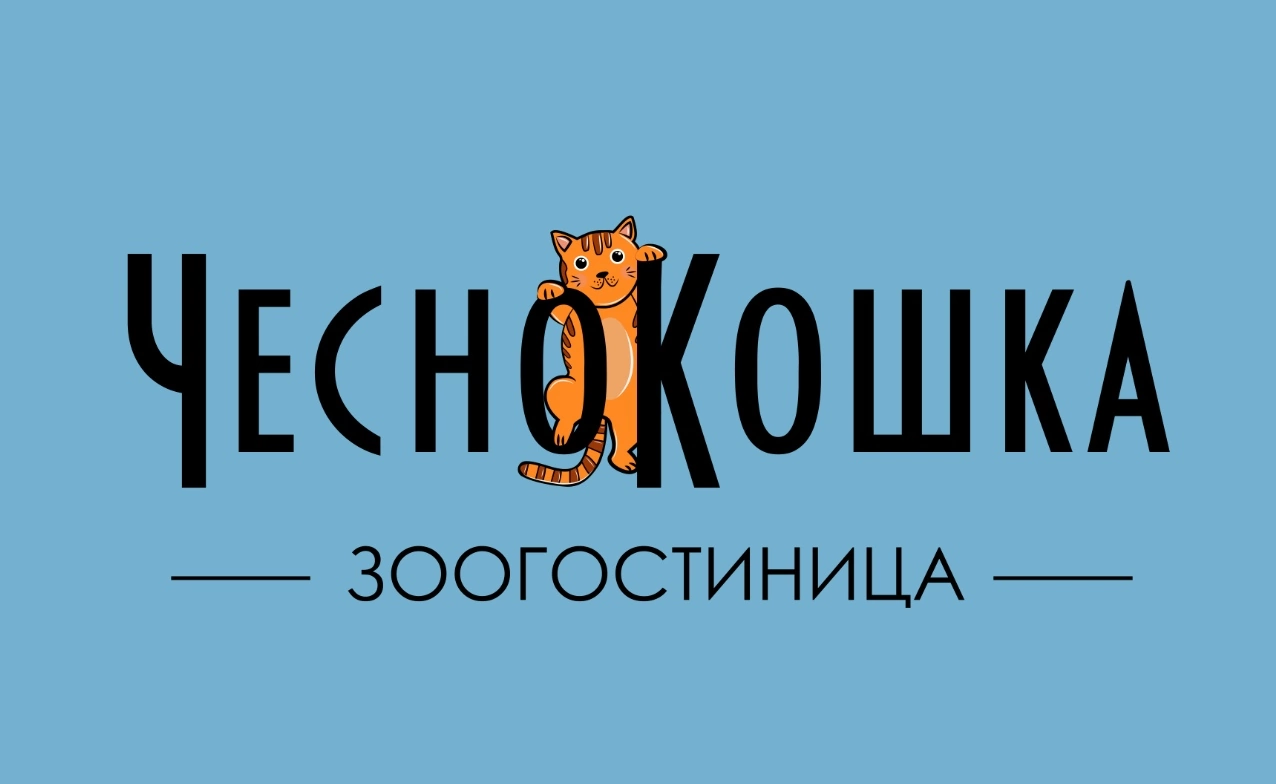 Как мы решили зоогостиницу открыть - Моё, Кот, Гостиница, Малый бизнес, Передержка, Длиннопост