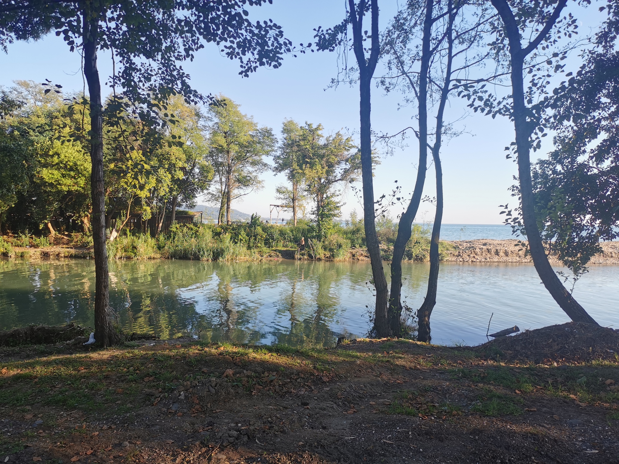 Sukhumi, Abkhazia - My, Abkhazia, The photo, Sukhum, Longpost