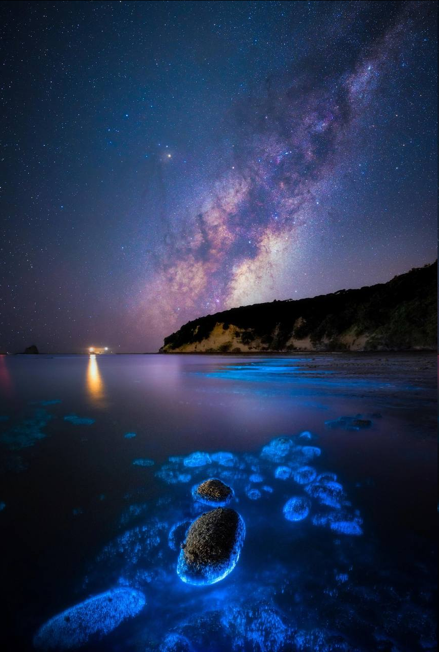 Milky Way and Bioluminescent Phytoplankton on New Zealand Coast - Astrophoto, Milky Way, Longpost