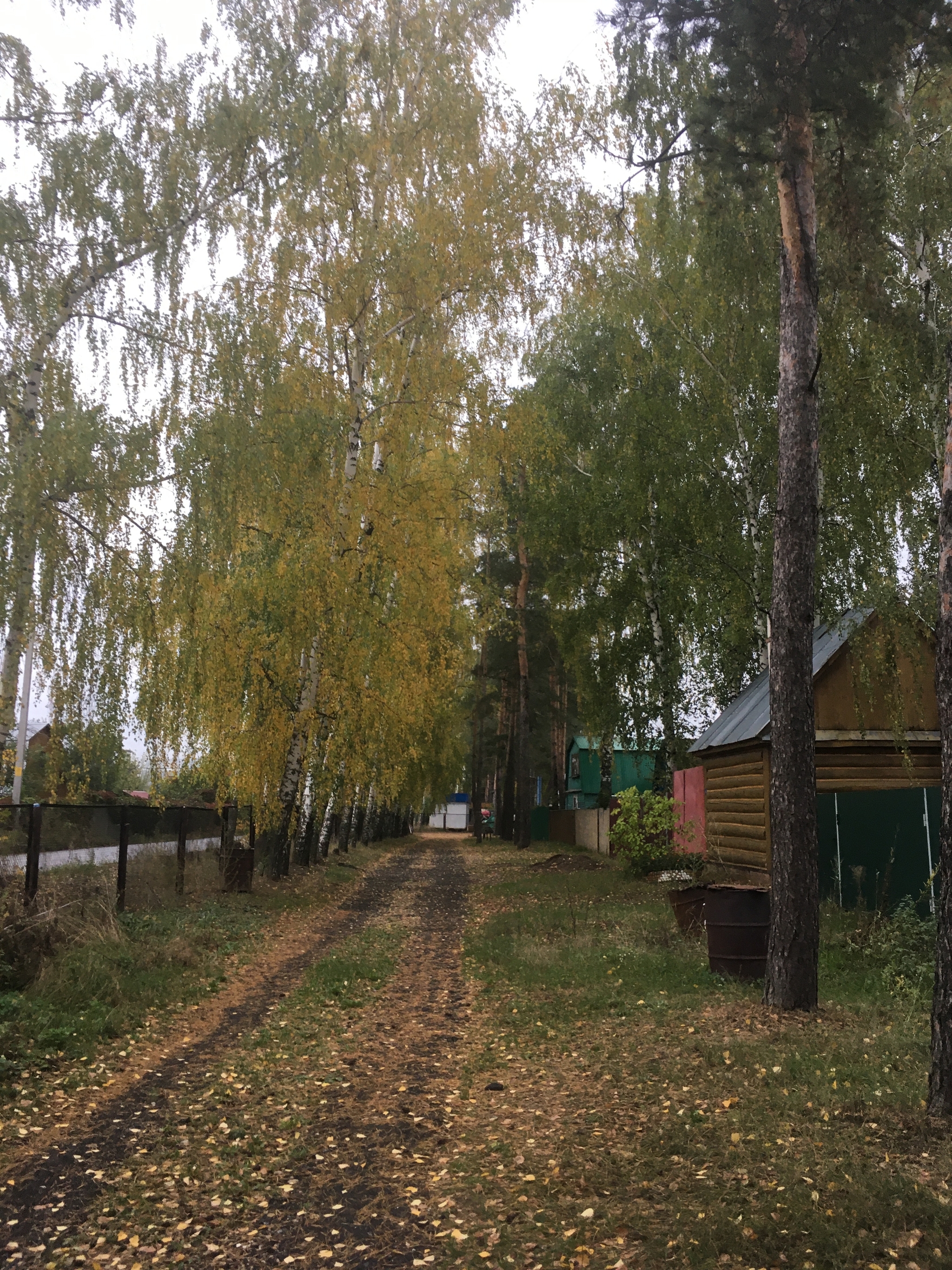 Closing of the summer season - My, Mobile photography, Nature, Autumn, Kazan, Dacha