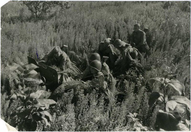 Old photos #368 - Story, The photo, A selection, Black and white photo, Longpost, the USSR