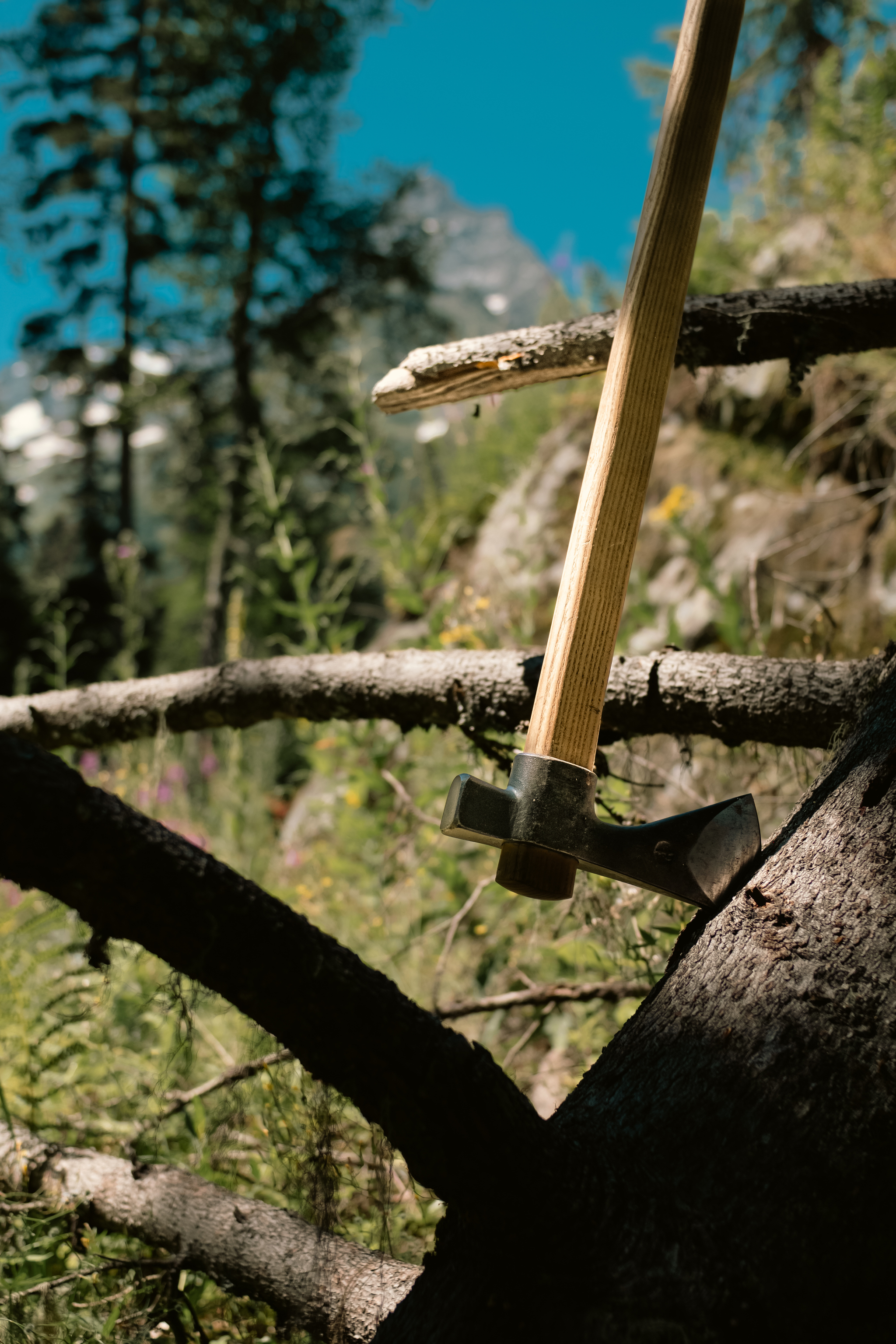 With a roll in the Caucasus. Bears, mountains and a hidden ax - My, Caucasus, Mountain tourism, Tourism, Dombay, Hike, The mountains, Video VK, Longpost, Camping, Туристы