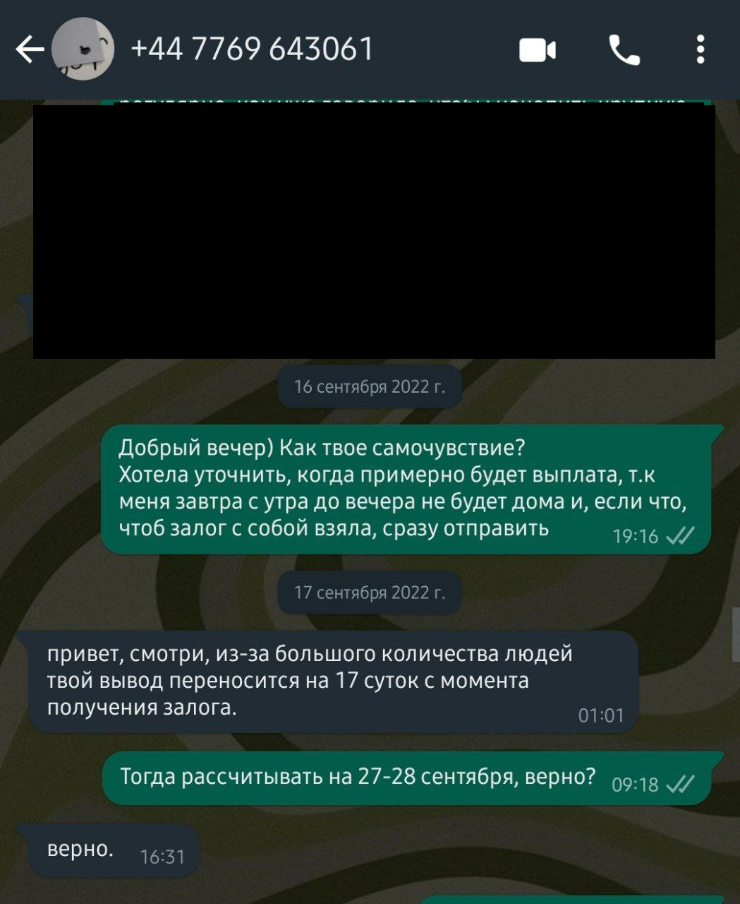 Рассвет, дела и мр, или почему не нужно нести свои деньги коню | Пикабу