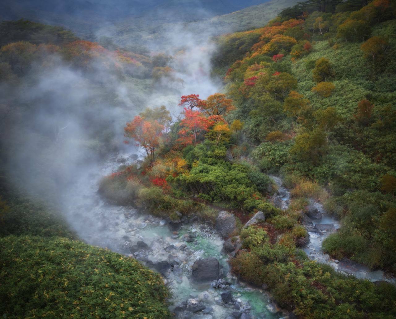 Incredible autumn colors of Iturup Island - My, Crossposting, Pikabu publish bot, Longpost, Nature, Iturup, Baranskoye Volcano, Fog