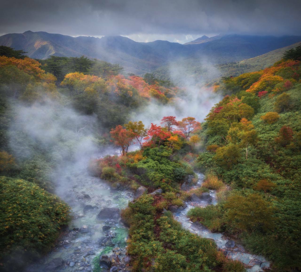 Incredible autumn colors of Iturup Island - My, Crossposting, Pikabu publish bot, Longpost, Nature, Iturup, Baranskoye Volcano, Fog