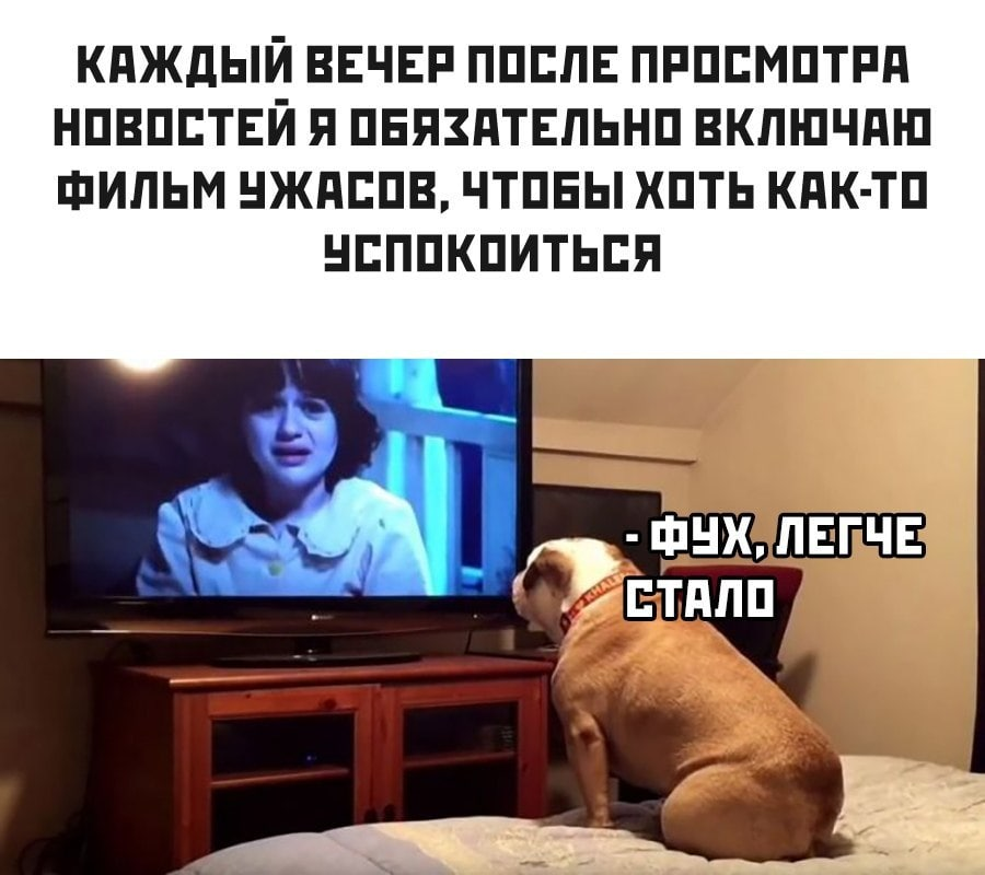 Horror movies have even become a little funny - Humor, Dog, Horror, news, Evening, Sedative