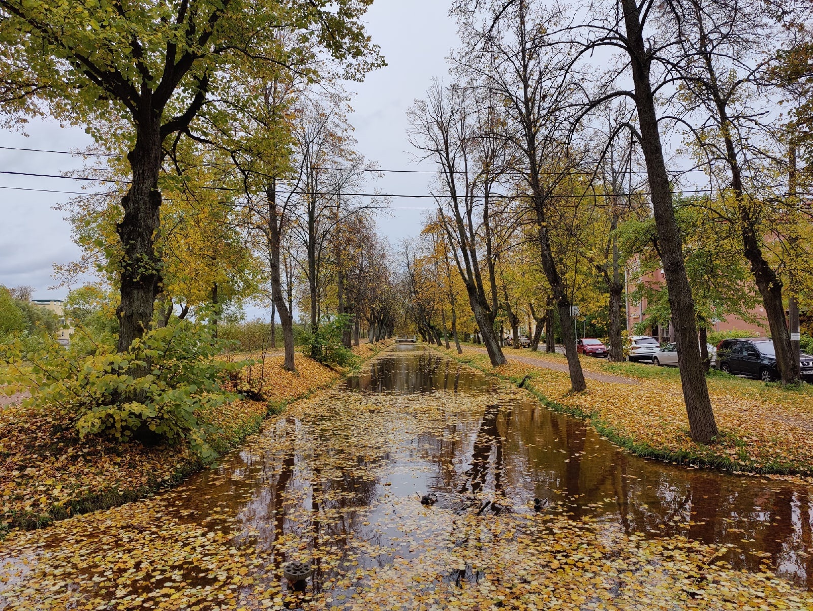 Autumn in Peterhof - My, The photo, Peterhof, Mobile photography, Longpost