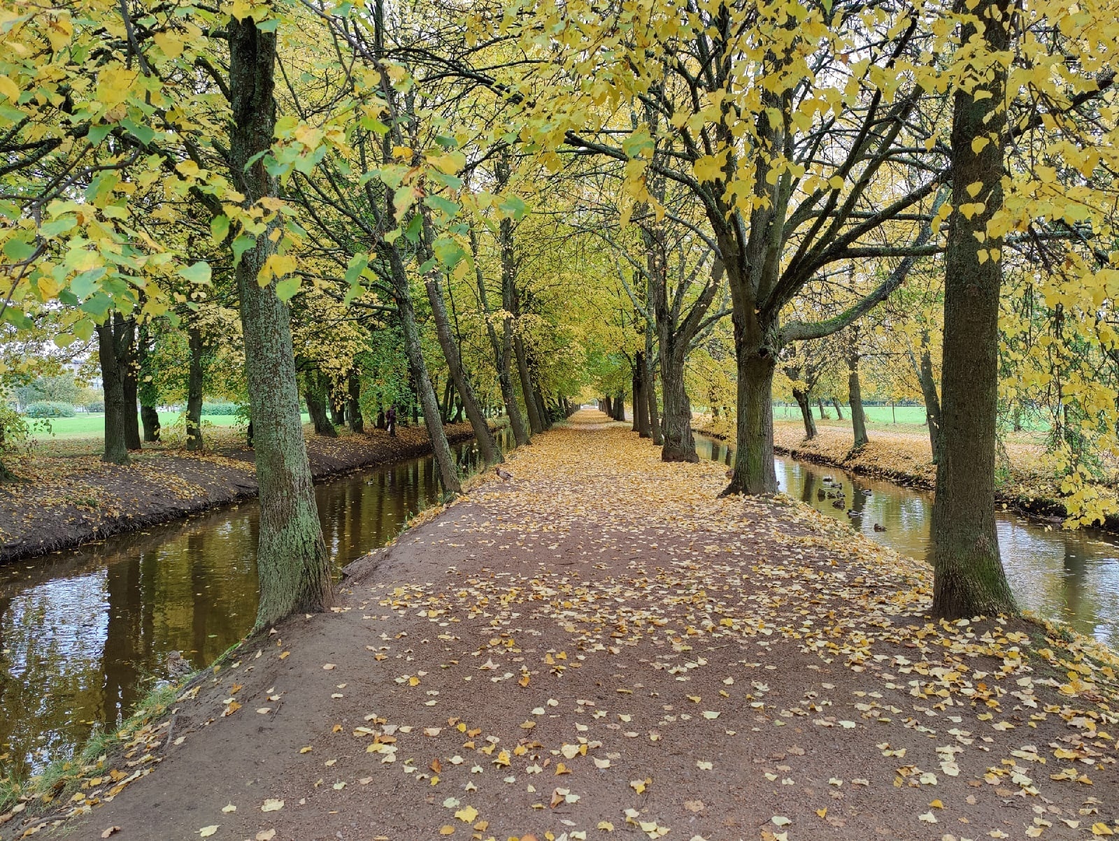 Autumn in Peterhof - My, The photo, Peterhof, Mobile photography, Longpost