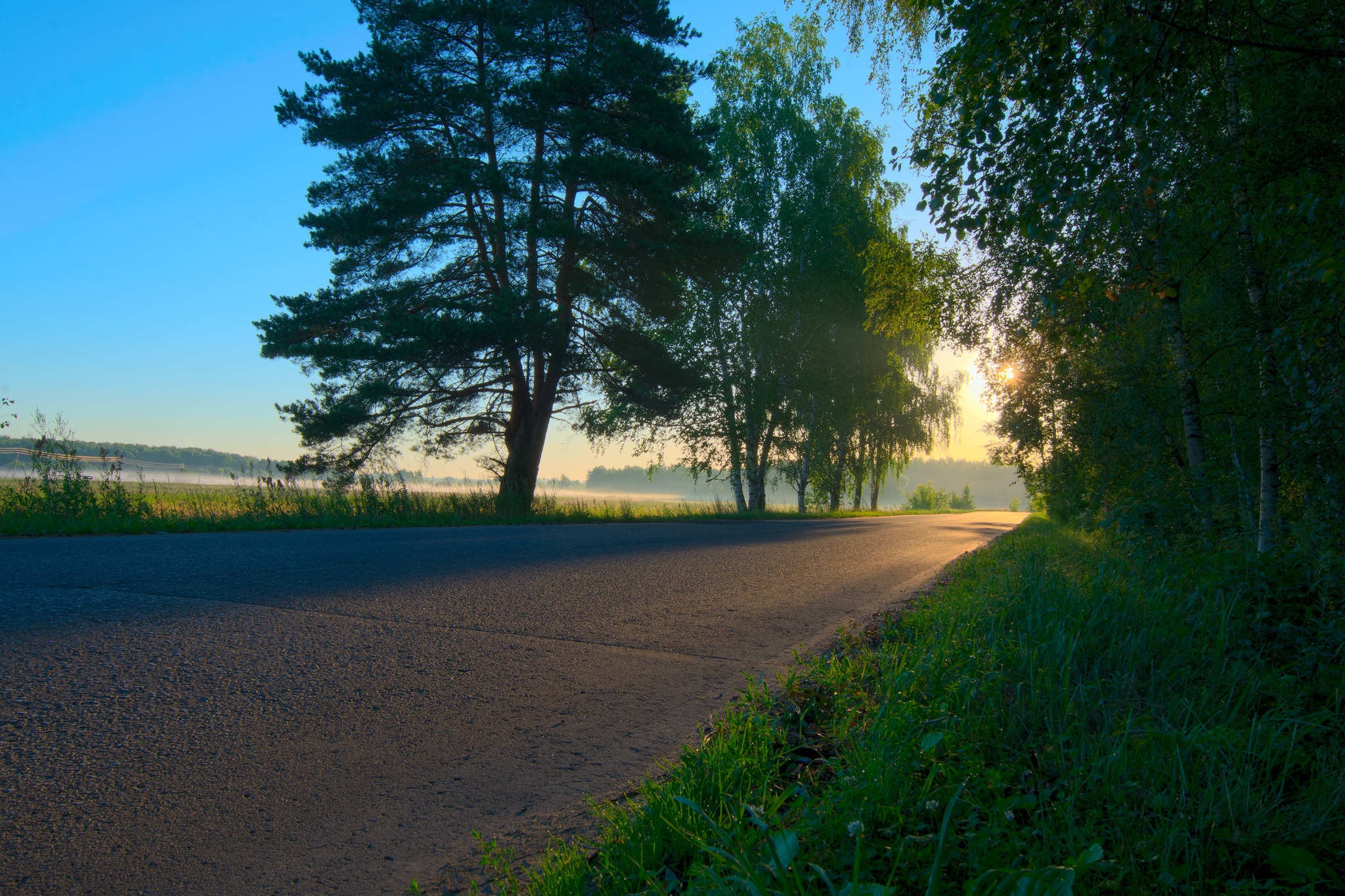 Morning in Ramenskoye - My, Ramenskoe, Morning, The photo, Road