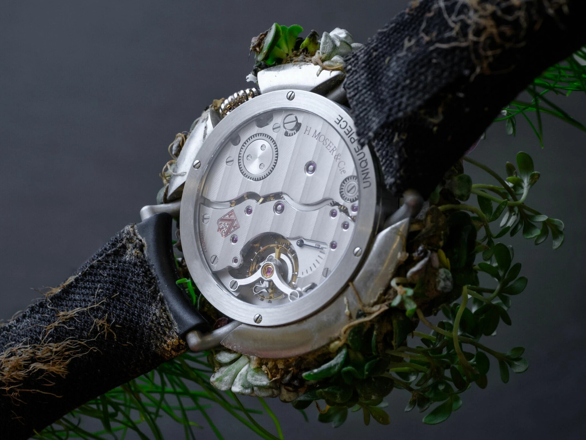 Clock to be watered - My, Wrist Watch, Clock, Гаджеты, Plants, Longpost