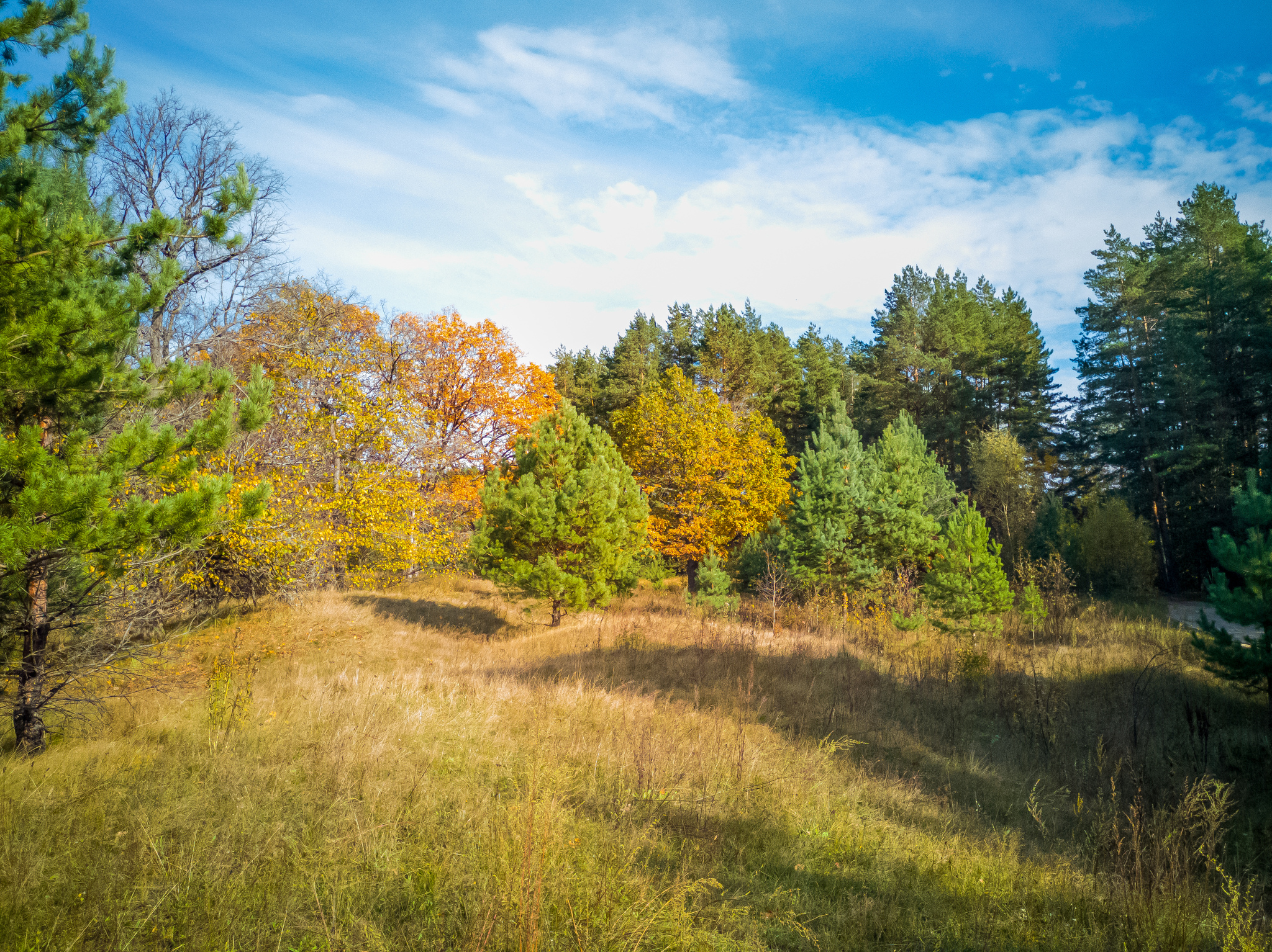 autumn - My, A bike, Bike ride, Autumn, Nature, Shawarma, Longpost