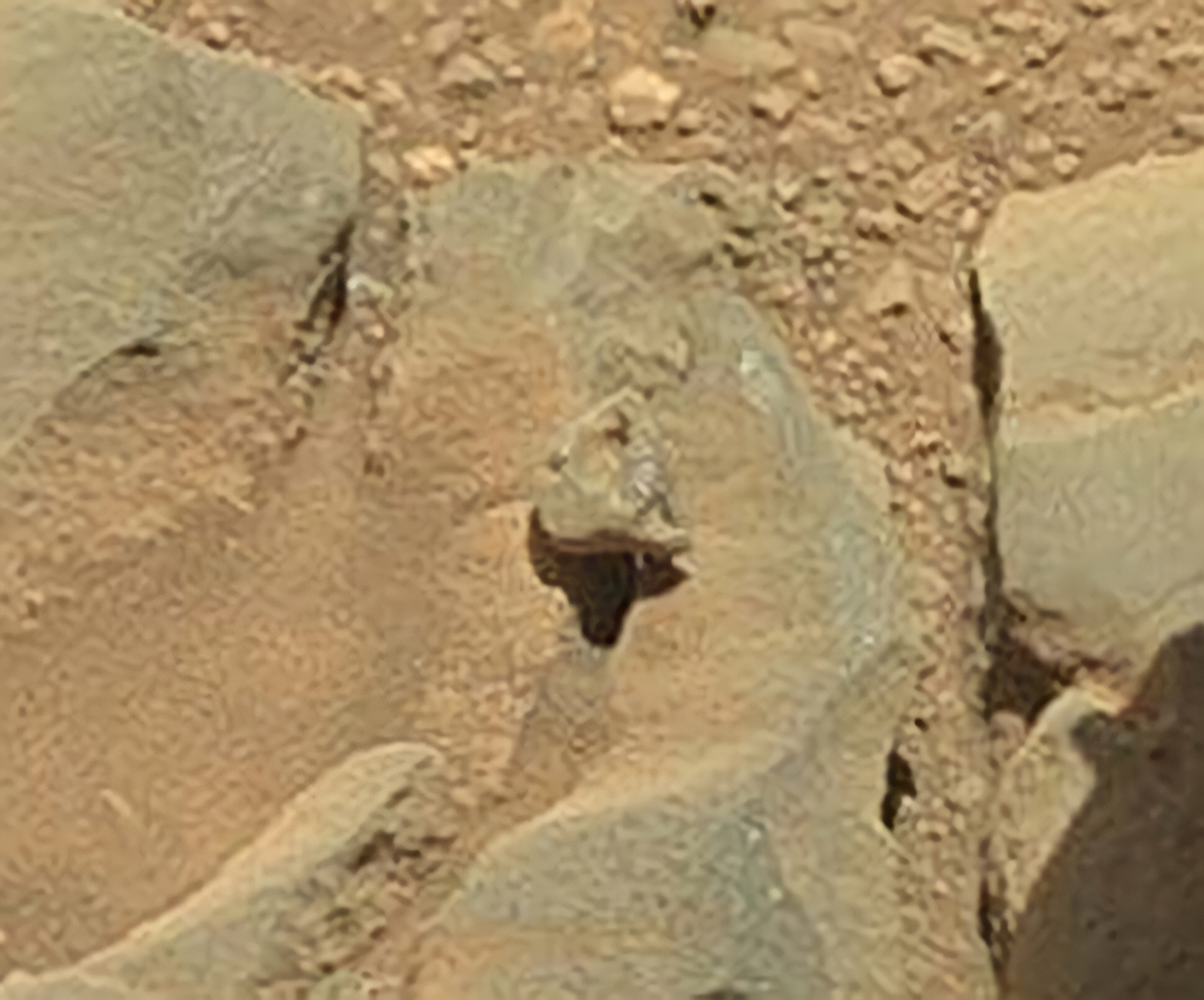 Interesting artifact on Mars - Mars, Artifact, Curiosity, Rover, Astrophysics, NASA