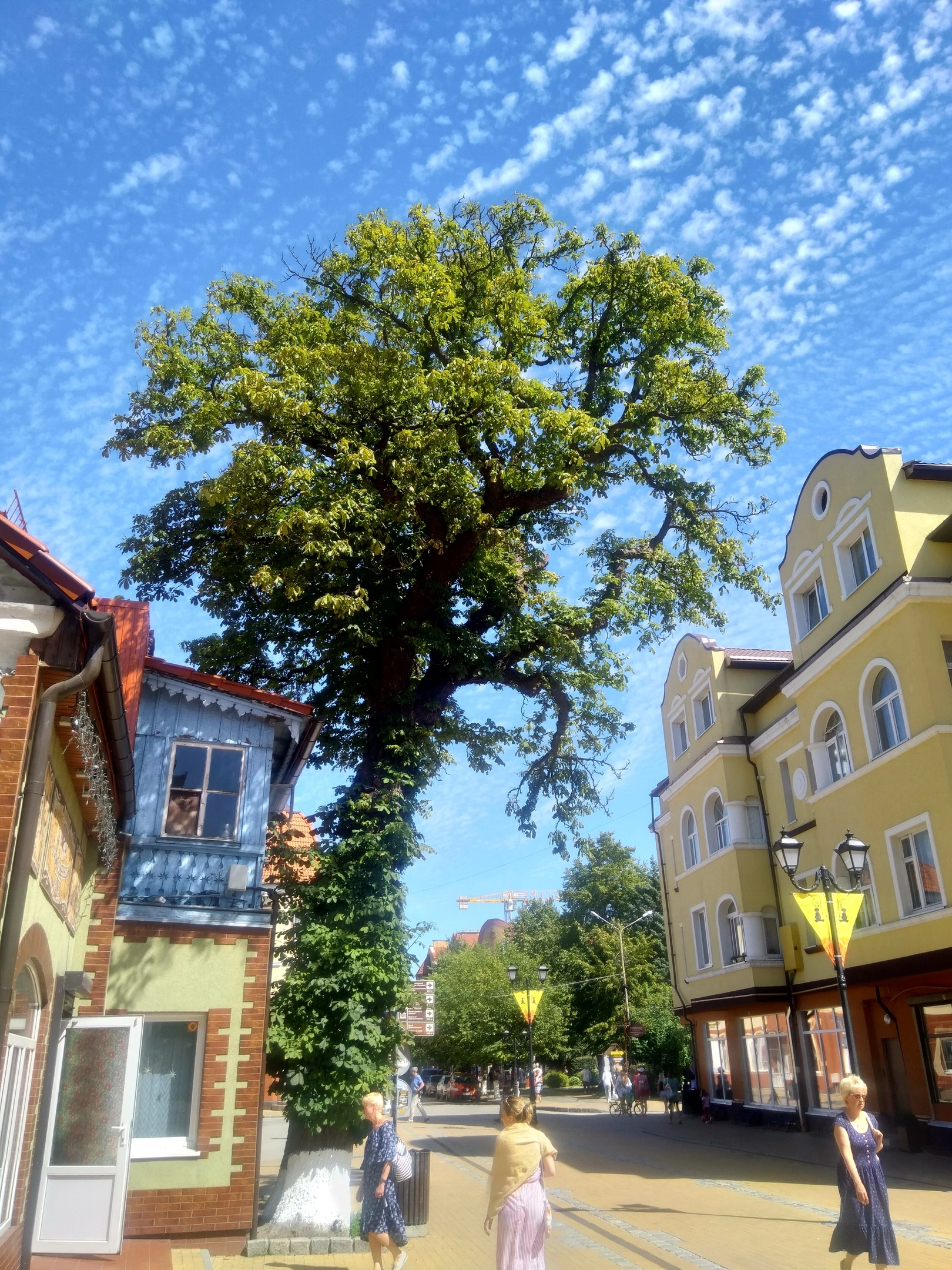 Reply to the post Sometimes you have to look up and look around - My, Mobile photography, The photo, Summer, Landscape, Sky, Clouds, Kaliningrad region, Crimea, Stars, Reply to post, Longpost