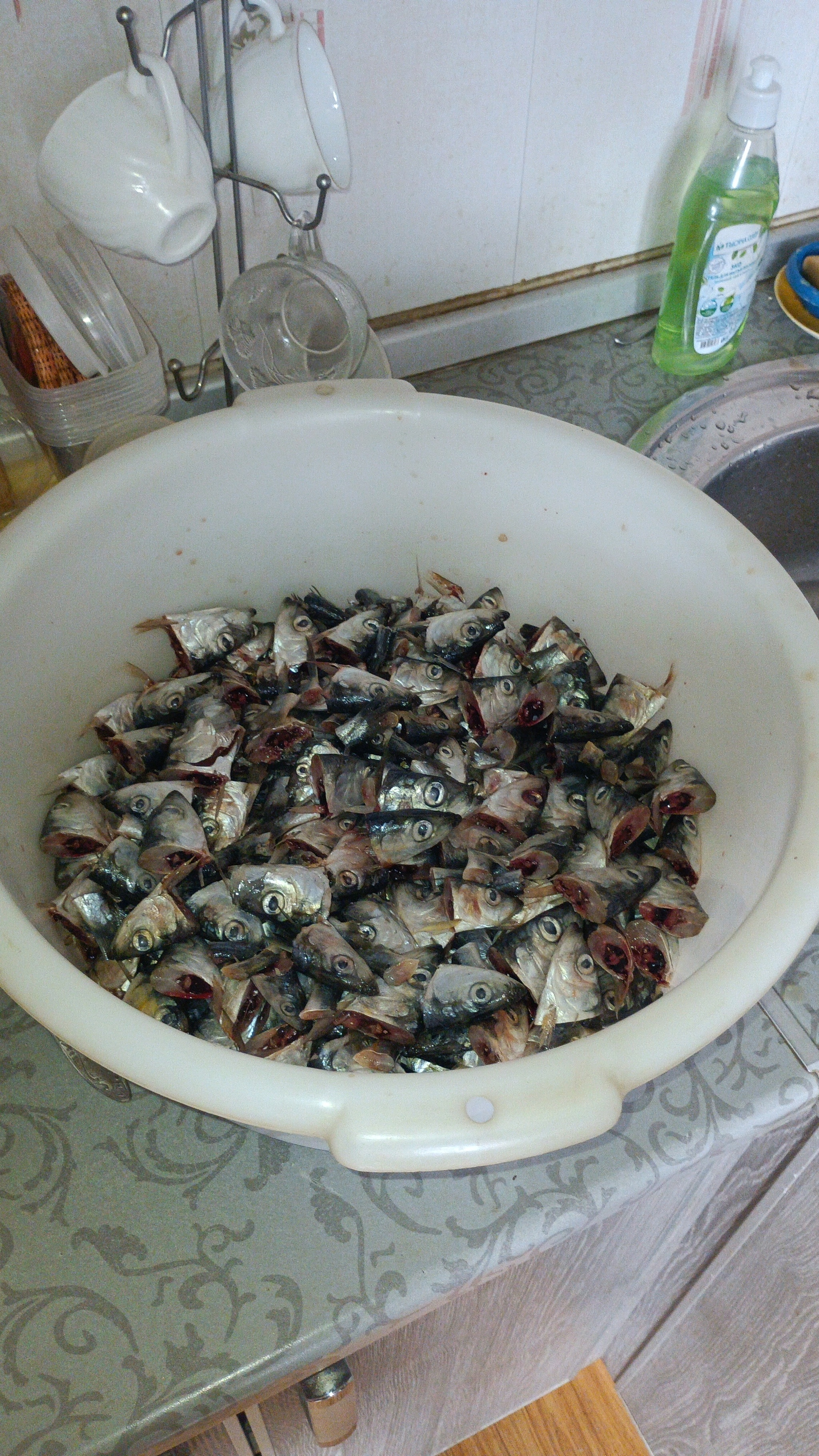 Рыбные консервы из щуки в автоклаве