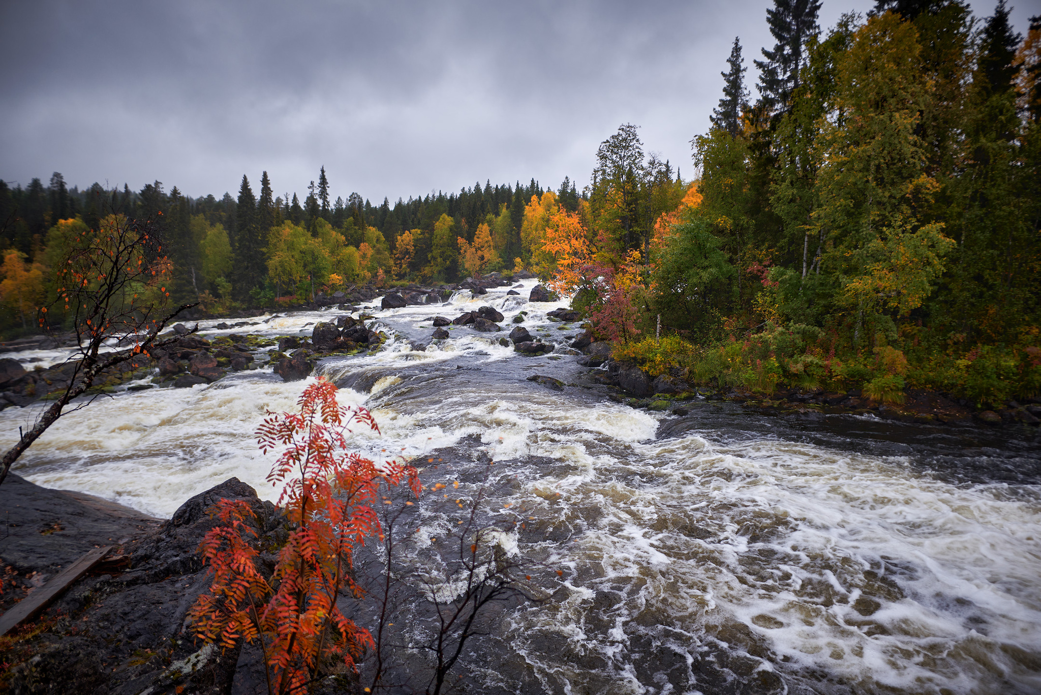 Kivakkakoski - My, Travel across Russia, Карелия, Landscape, Paanajarvi