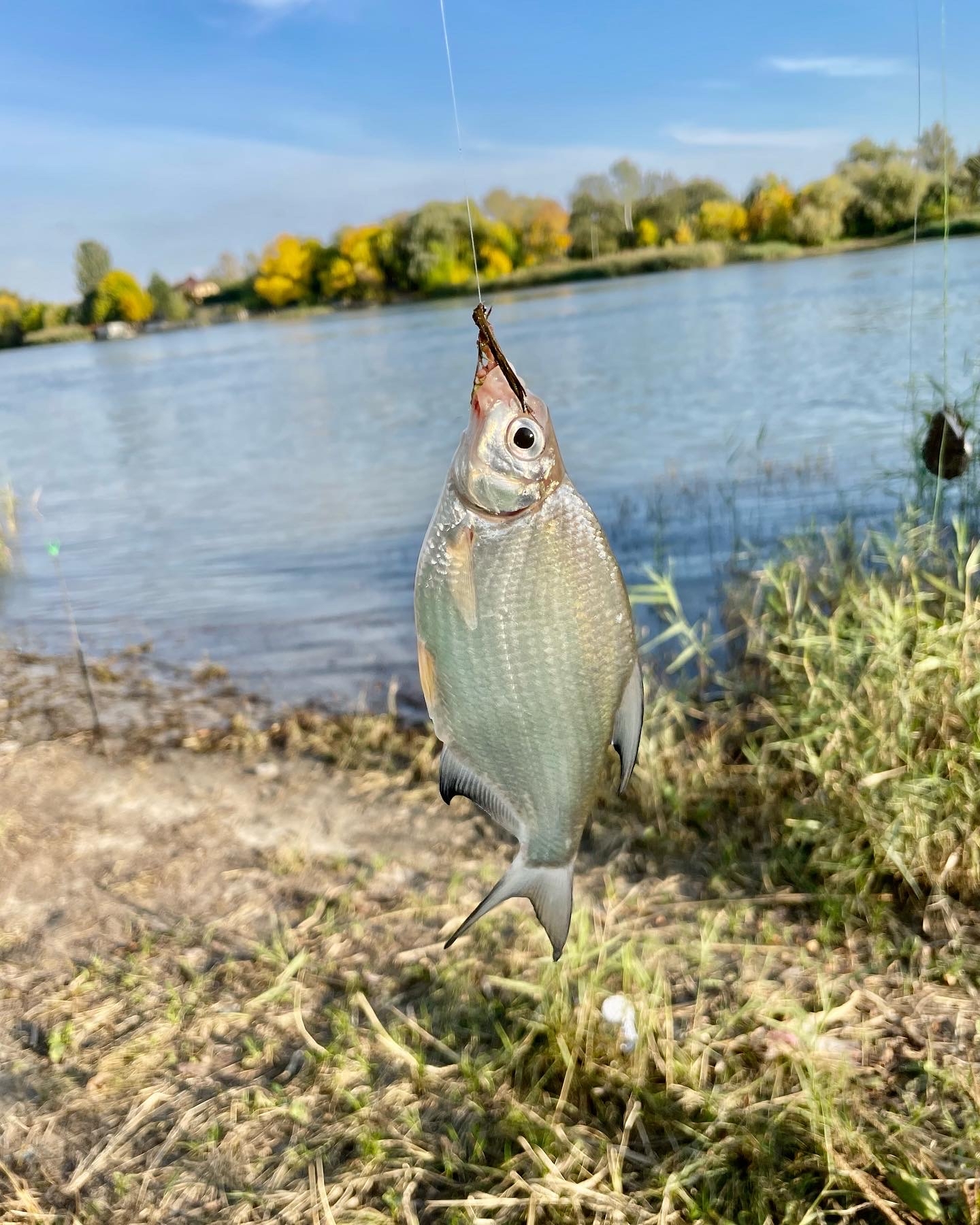 A change of scenery - My, Longpost, The photo, Fishing, Relaxation